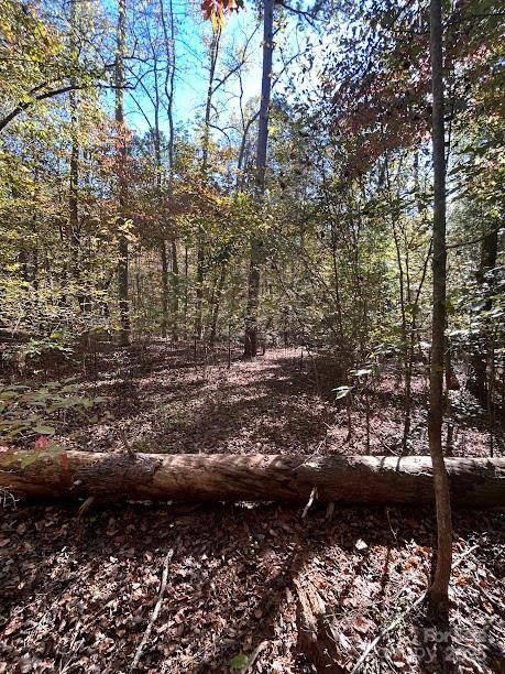 TBD Cross Creek DR #140, Rutherfordton, NC 28139
