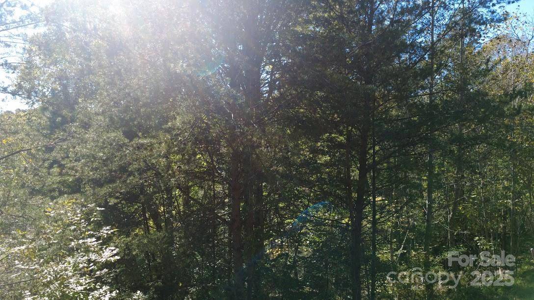 TBD Cross Creek DR #140, Rutherfordton, NC 28139