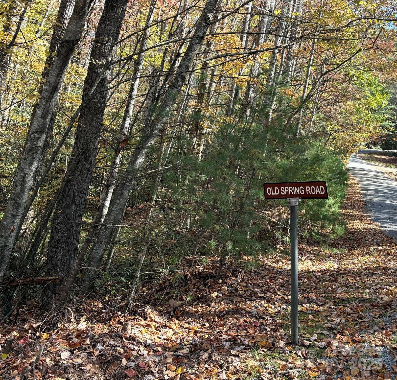 999 Old Spring RD, Brevard, NC 28712