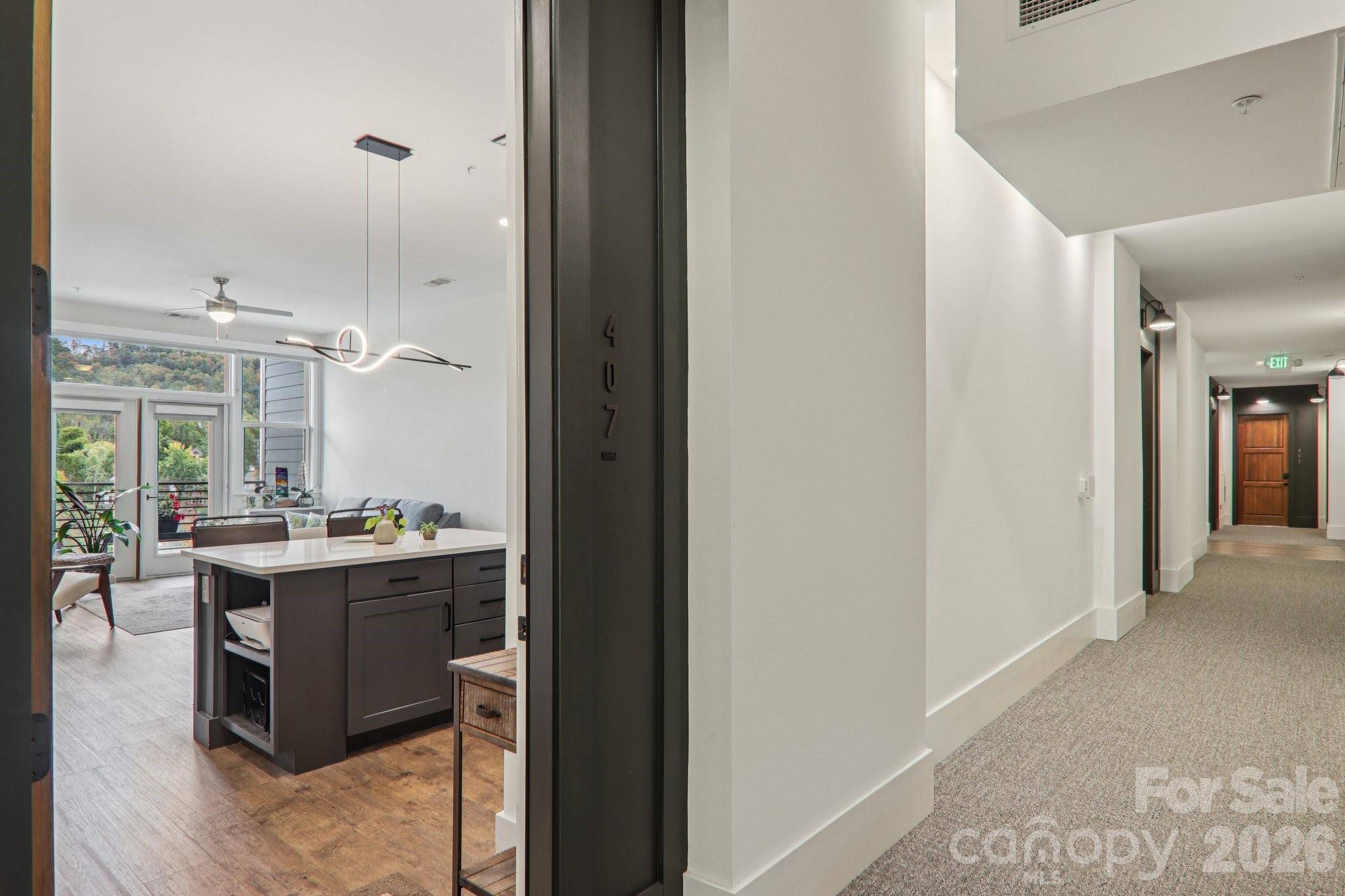 55 S Market ST #407, Asheville, NC 28801
