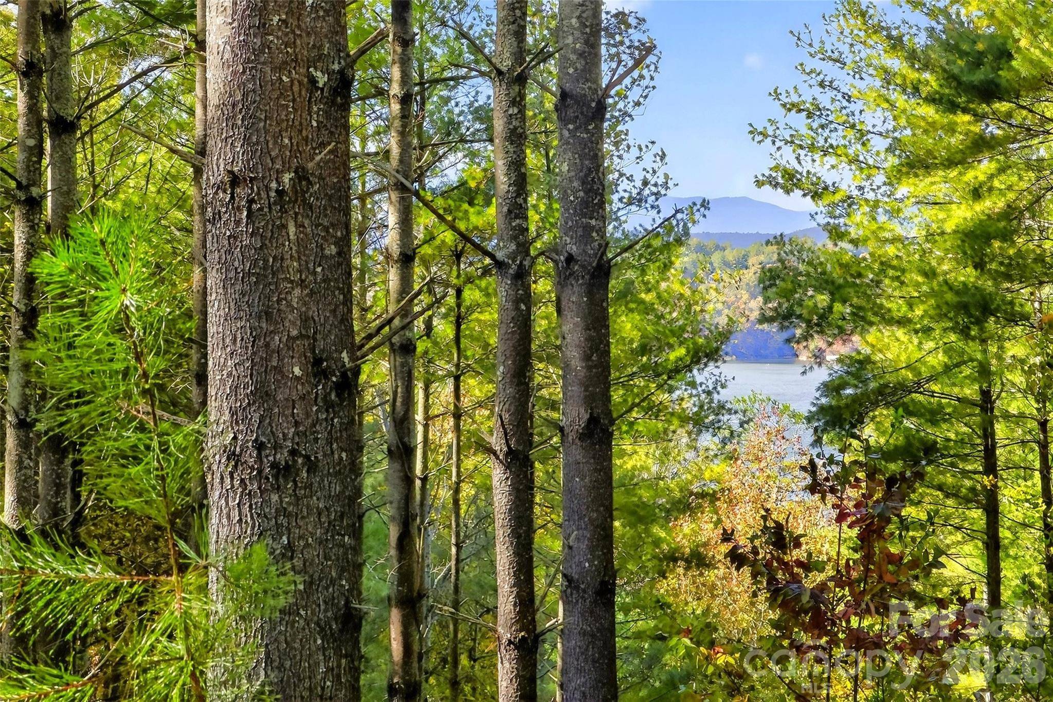 0 West Point DR, Nebo, NC 28761
