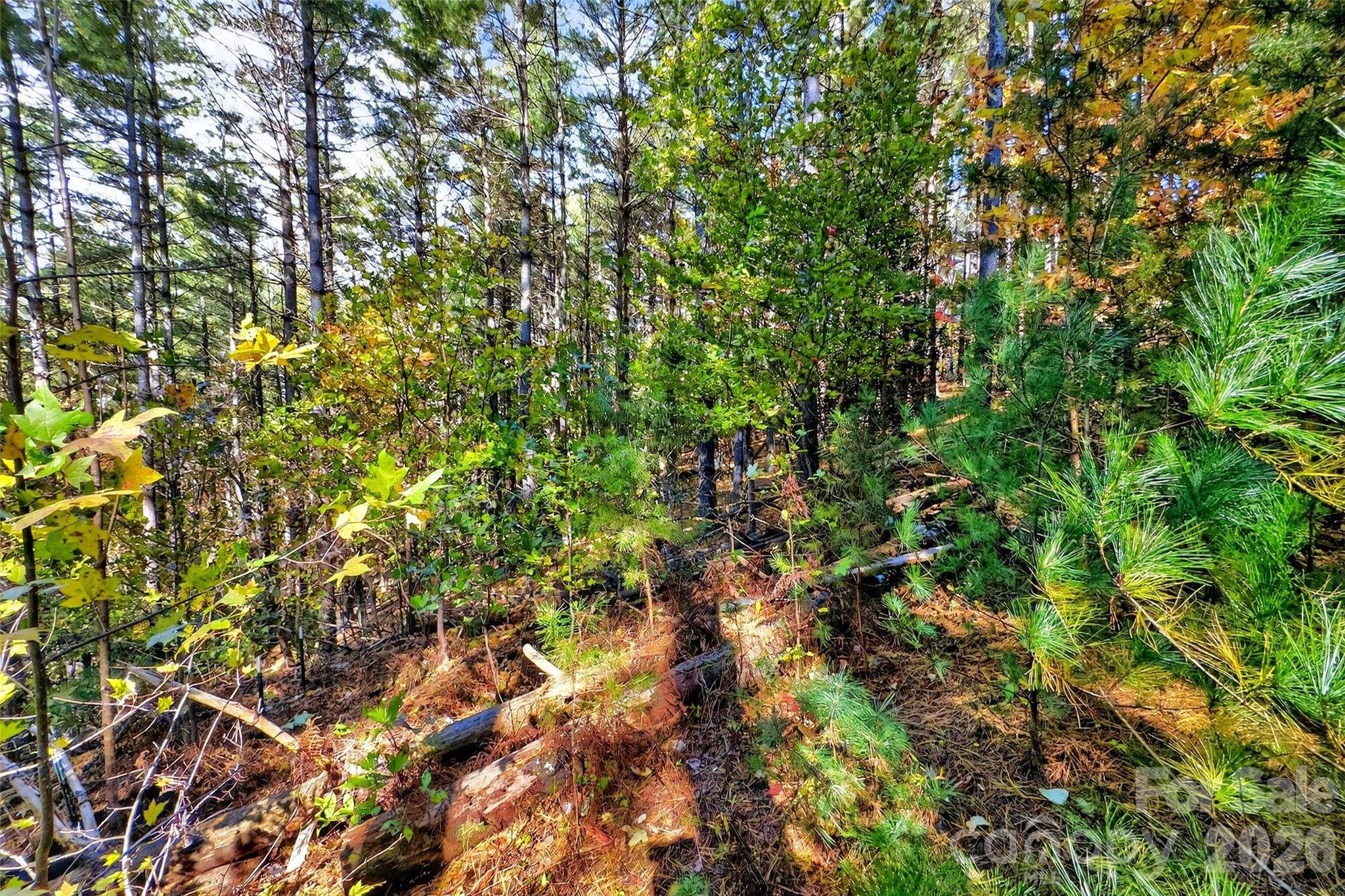 0 West Point DR, Nebo, NC 28761