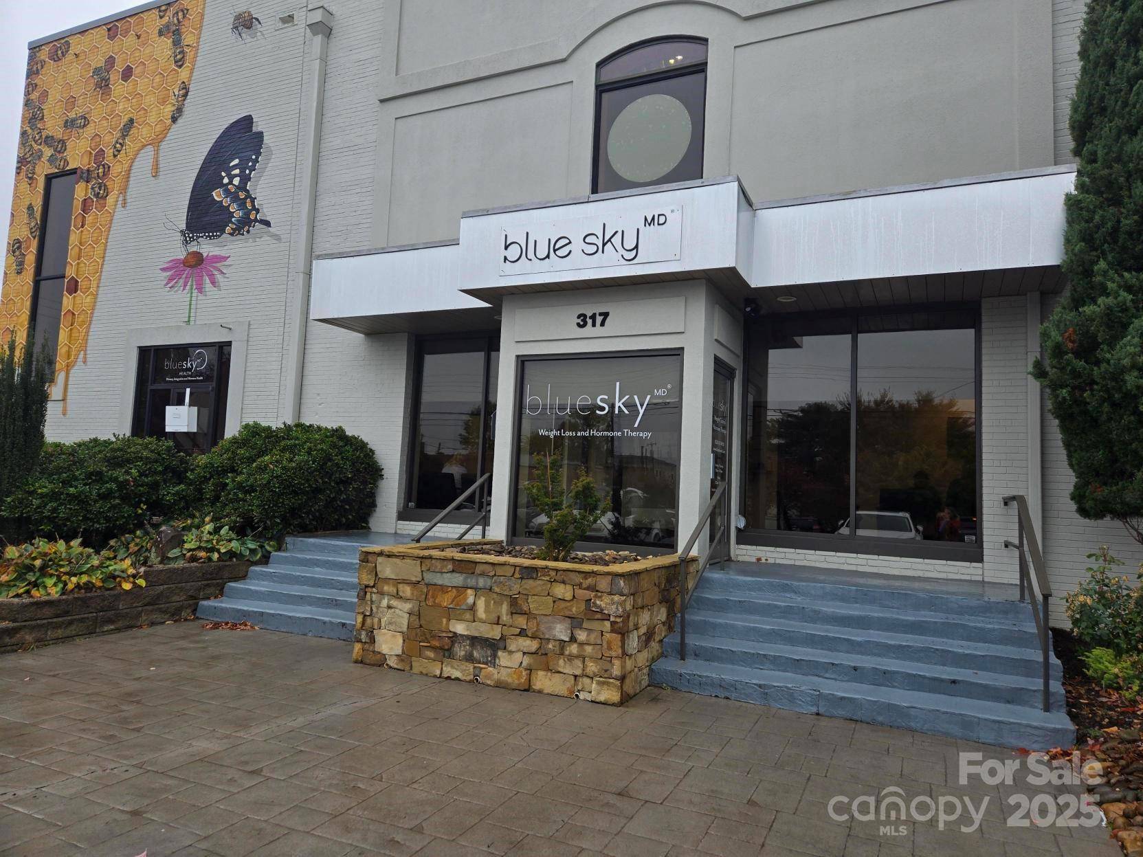 317 N King ST, Hendersonville, NC 28792