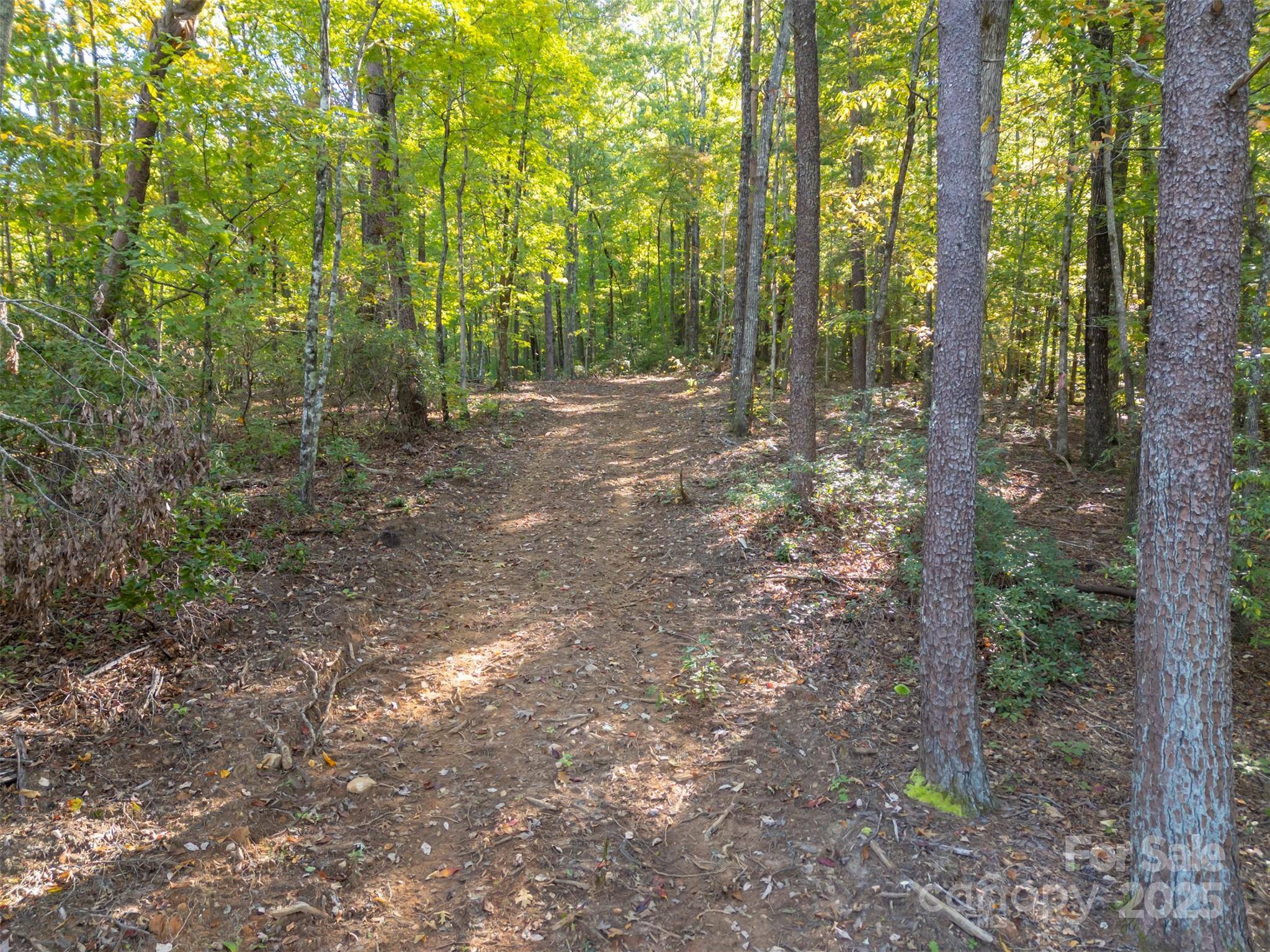 3298 Buffalo Creek RD, Lake Lure, NC 28746