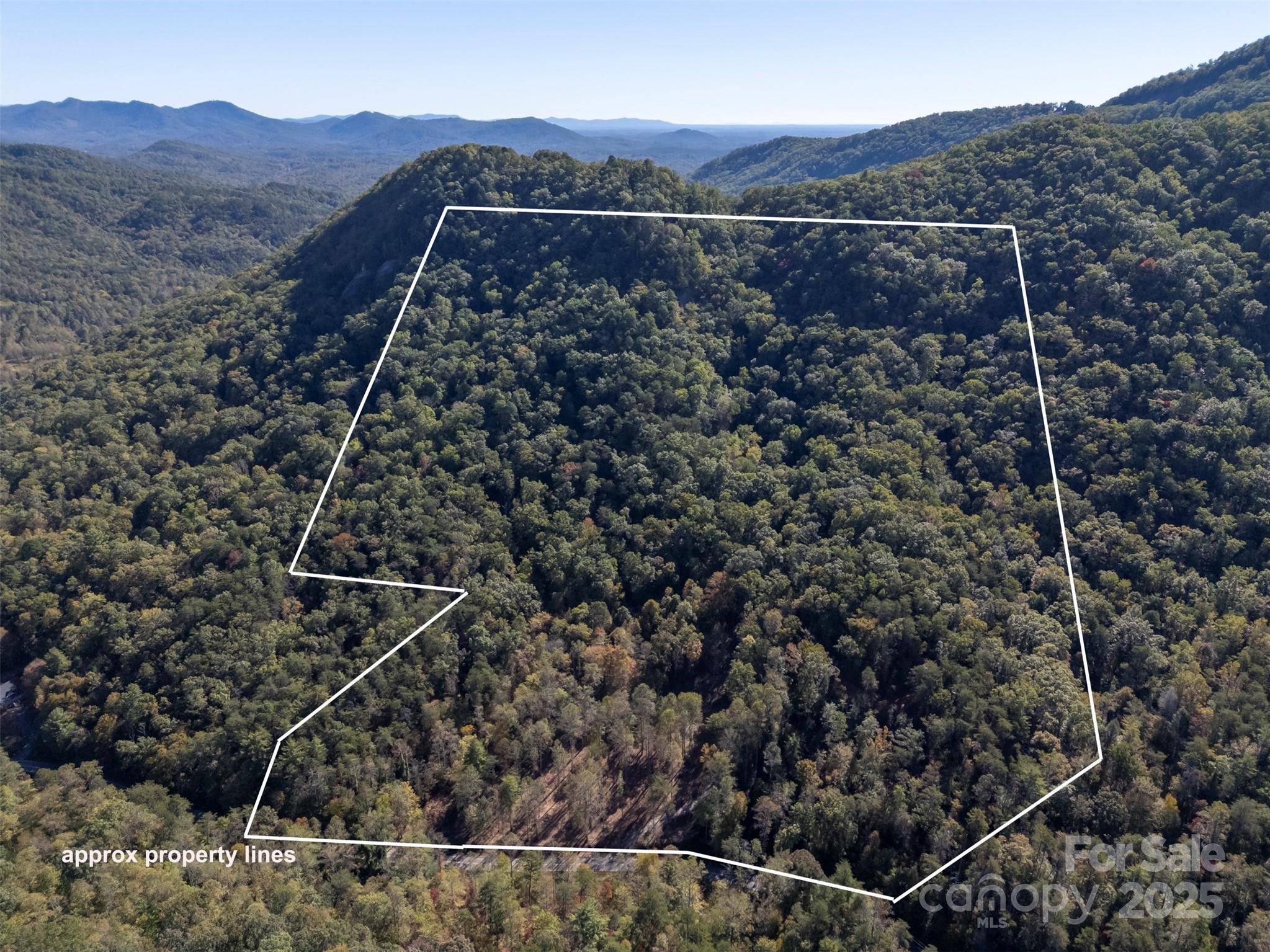 3298 Buffalo Creek RD, Lake Lure, NC 28746
