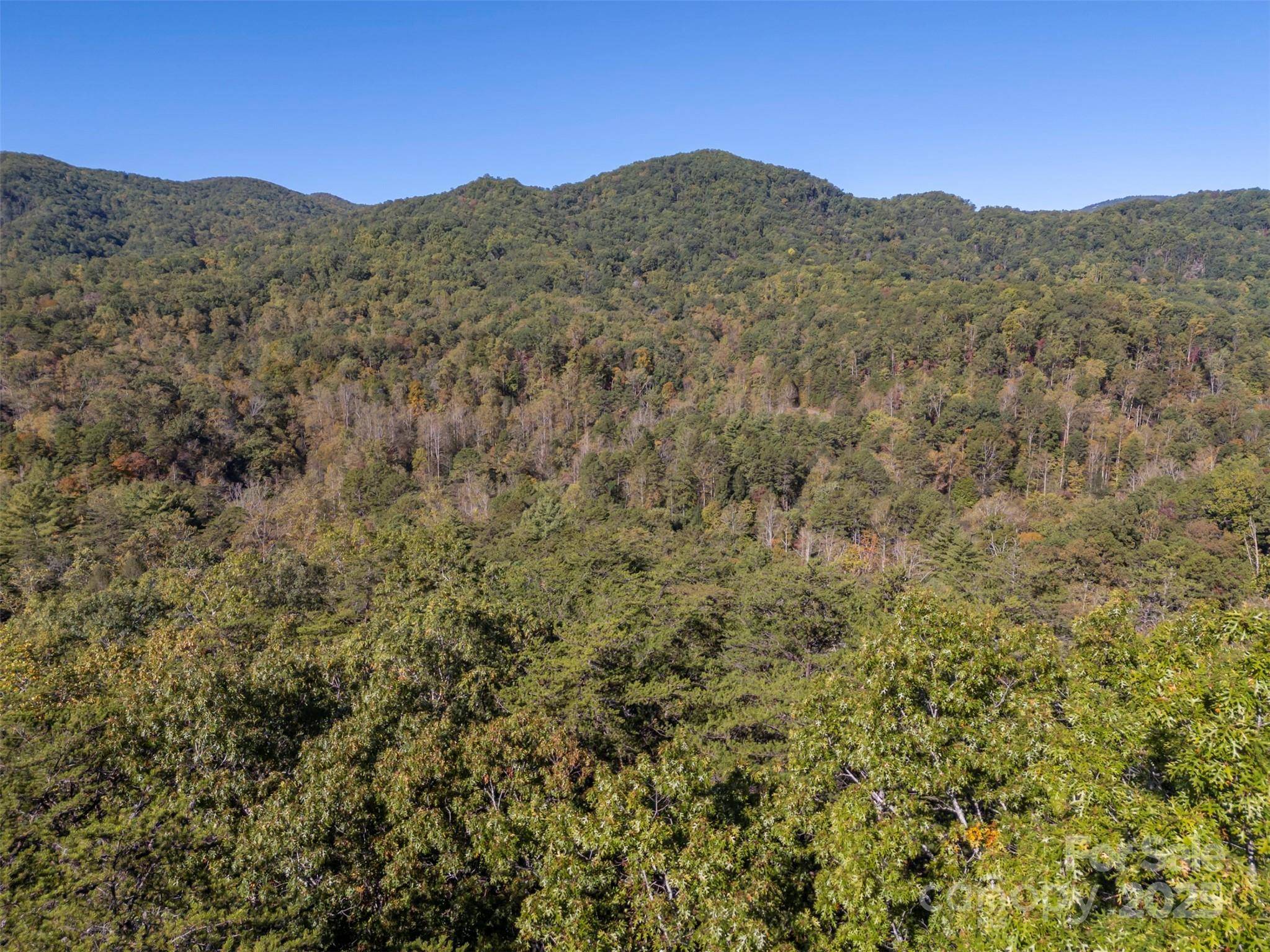 3298 Buffalo Creek RD, Lake Lure, NC 28746