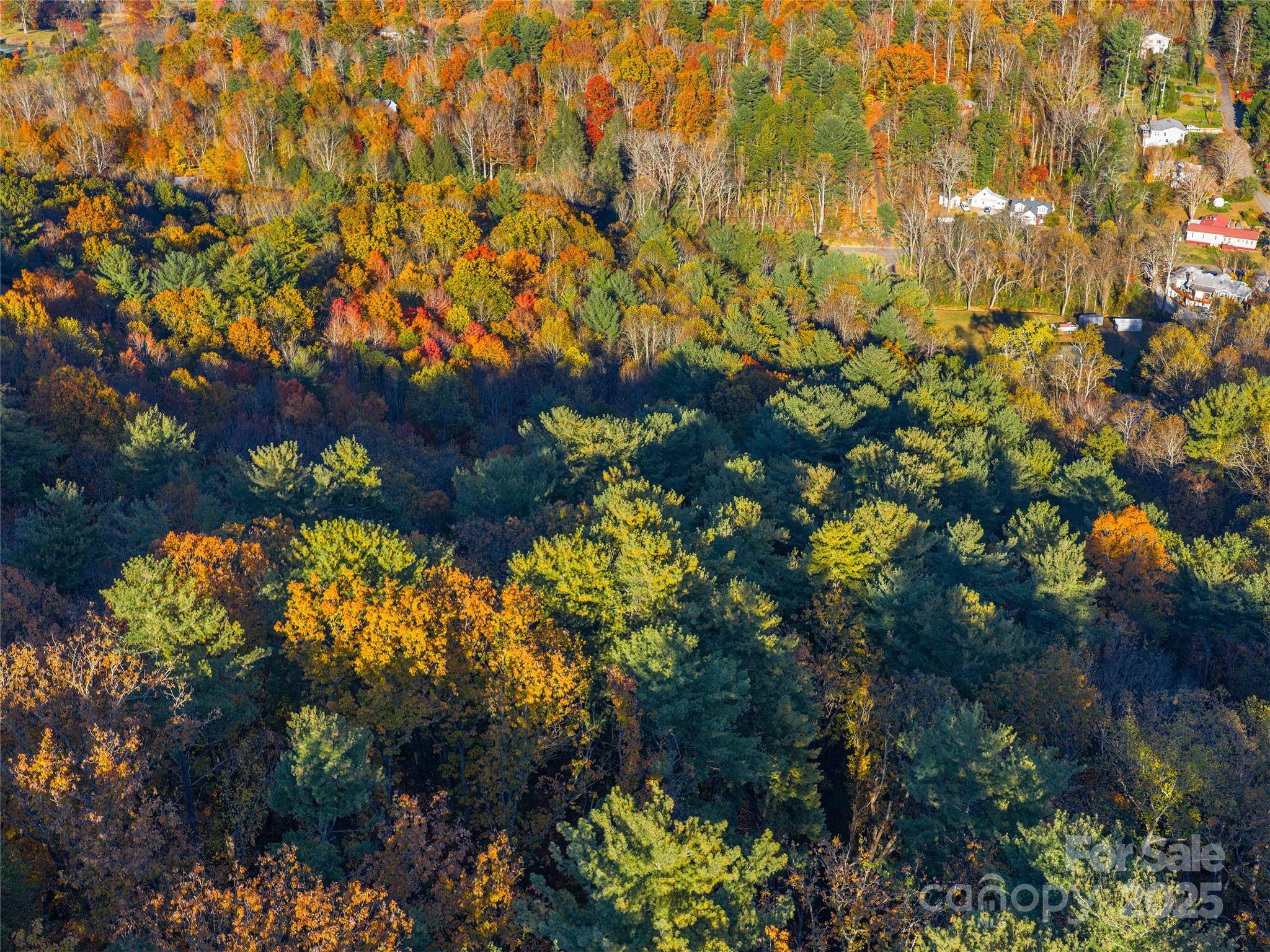 51 Rice Branch RD, Asheville, NC 28804