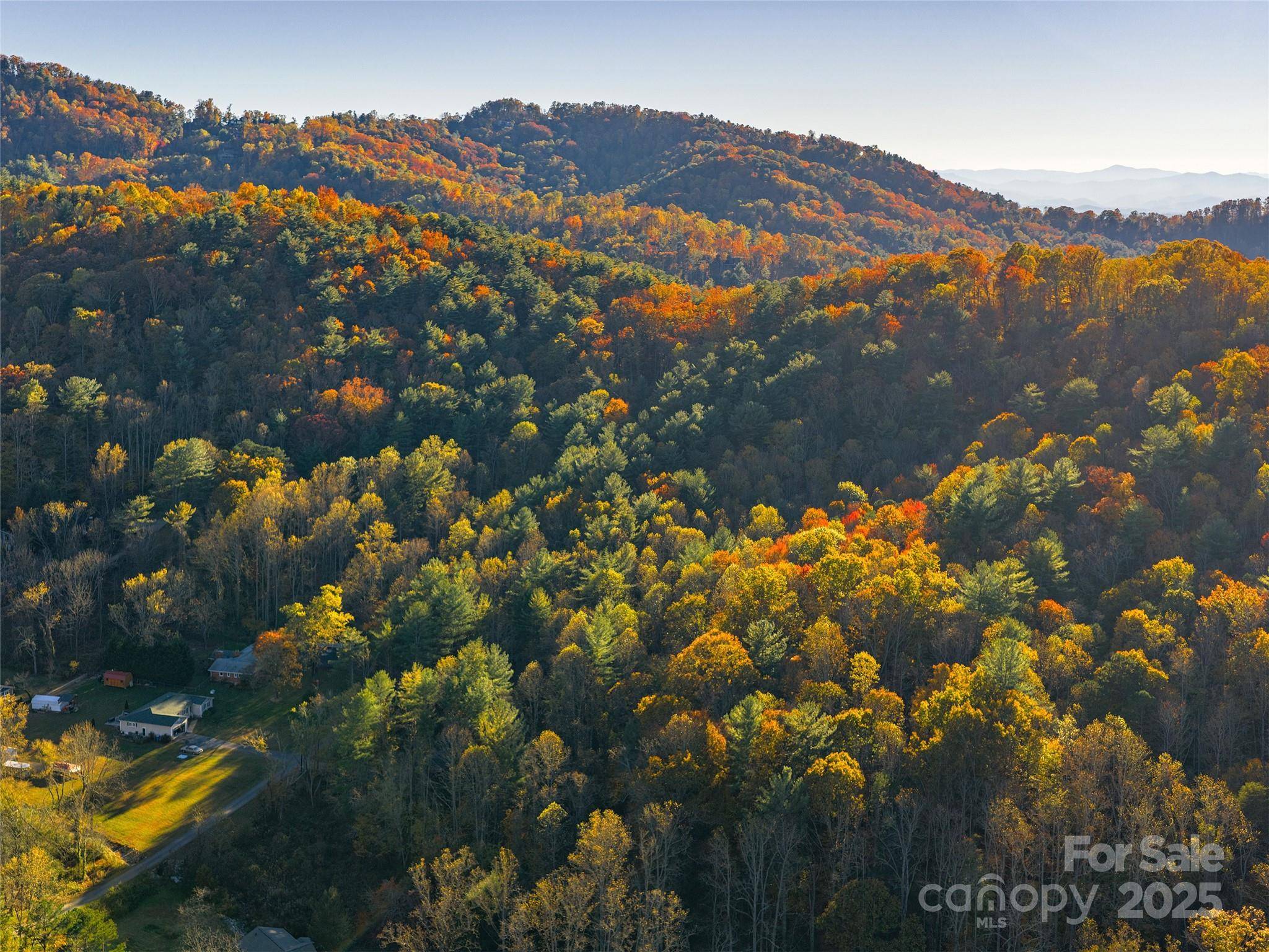 51 Rice Branch RD, Asheville, NC 28804