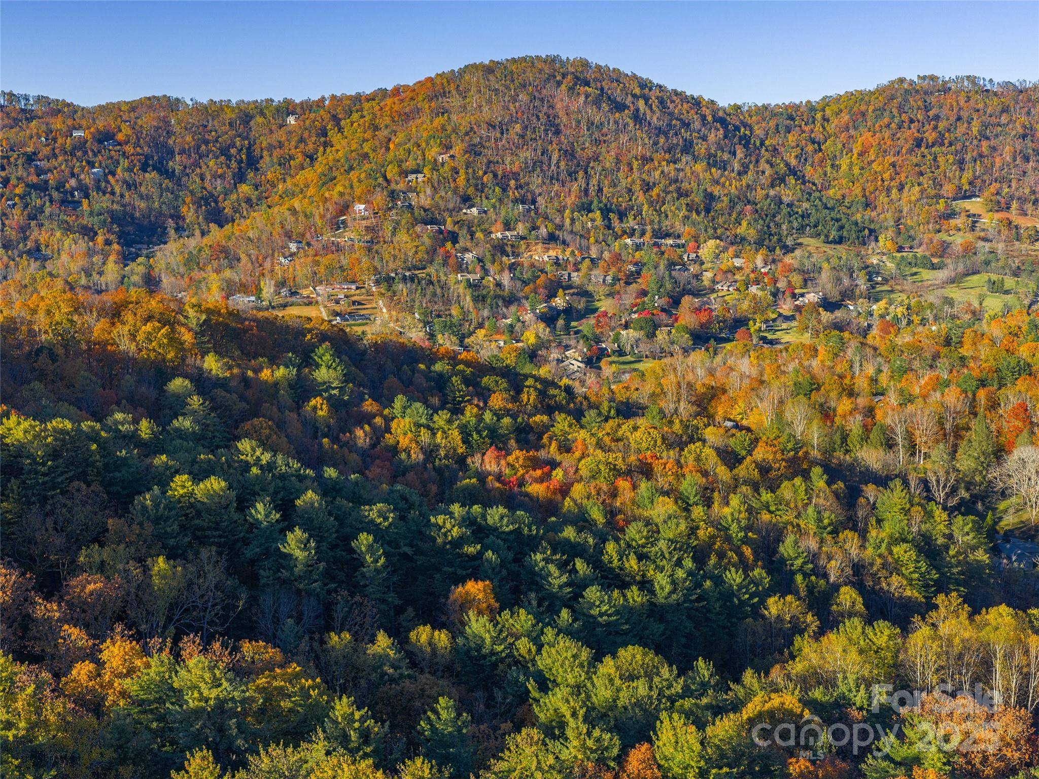 51 Rice Branch RD, Asheville, NC 28804
