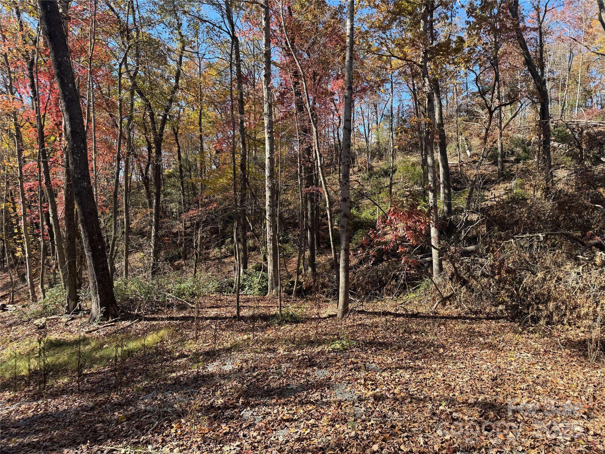 00 Normcol RD, Pisgah Forest, NC 28768