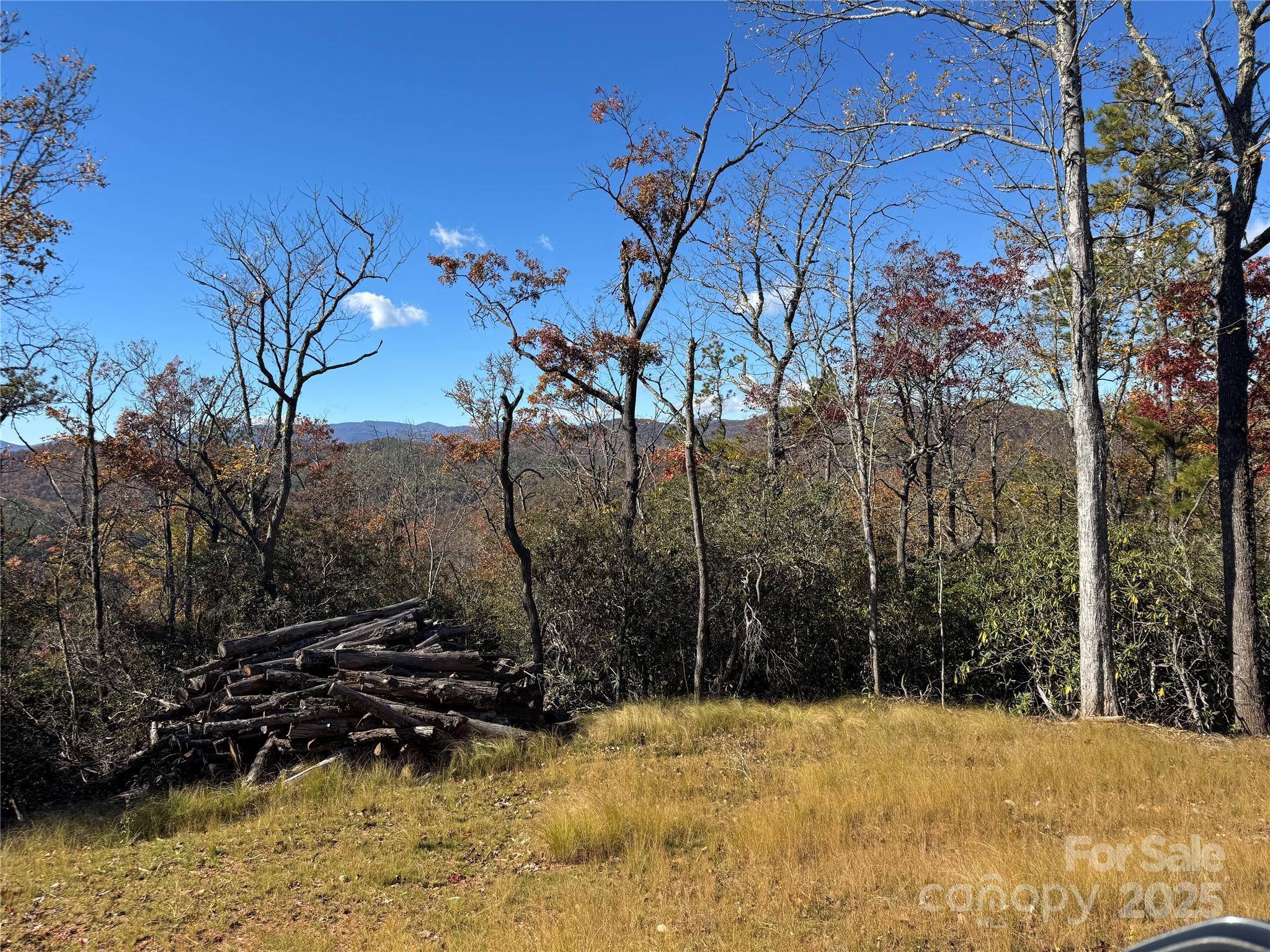 00 Normcol RD, Pisgah Forest, NC 28768