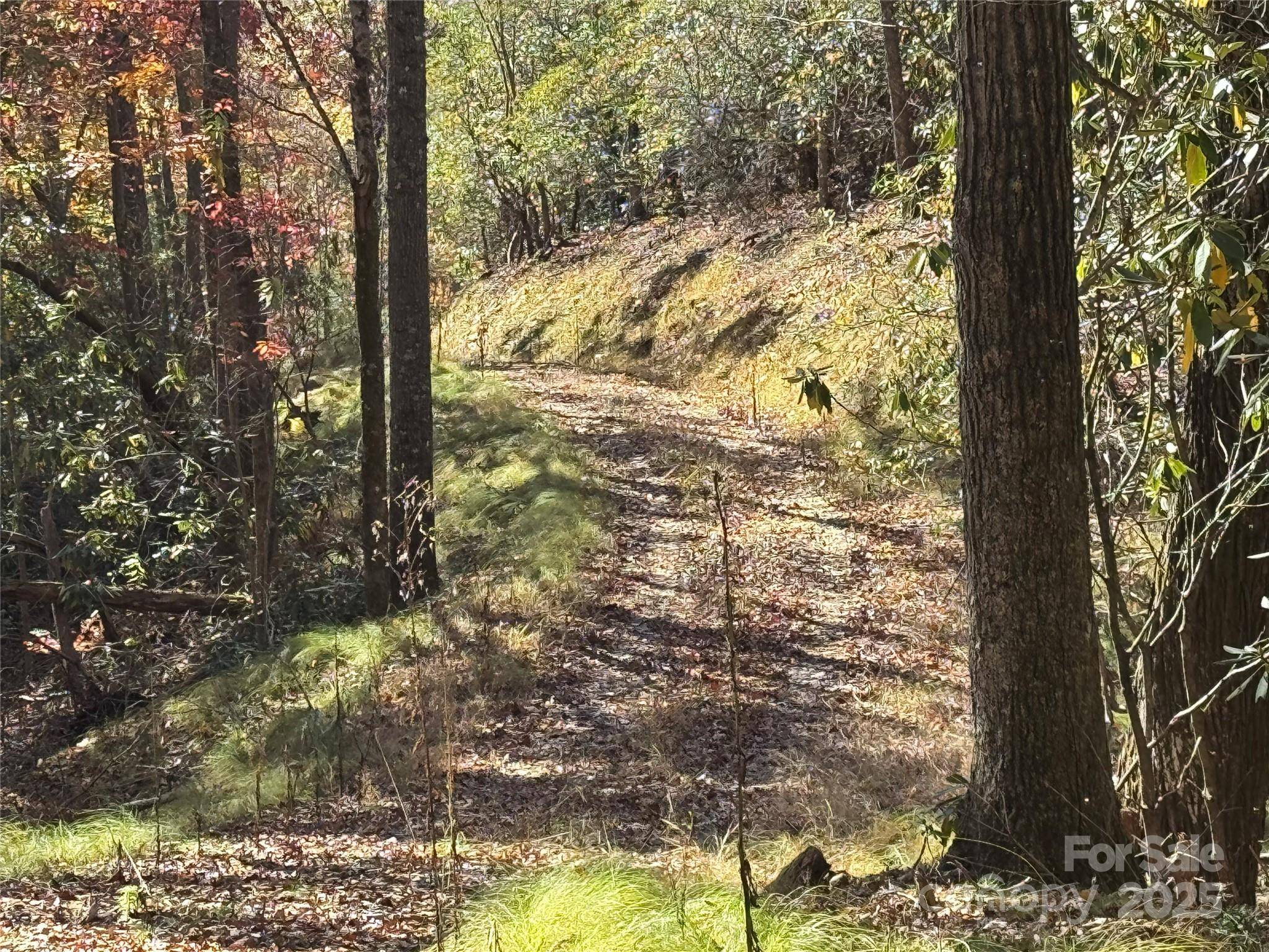 00 Normcol RD, Pisgah Forest, NC 28768