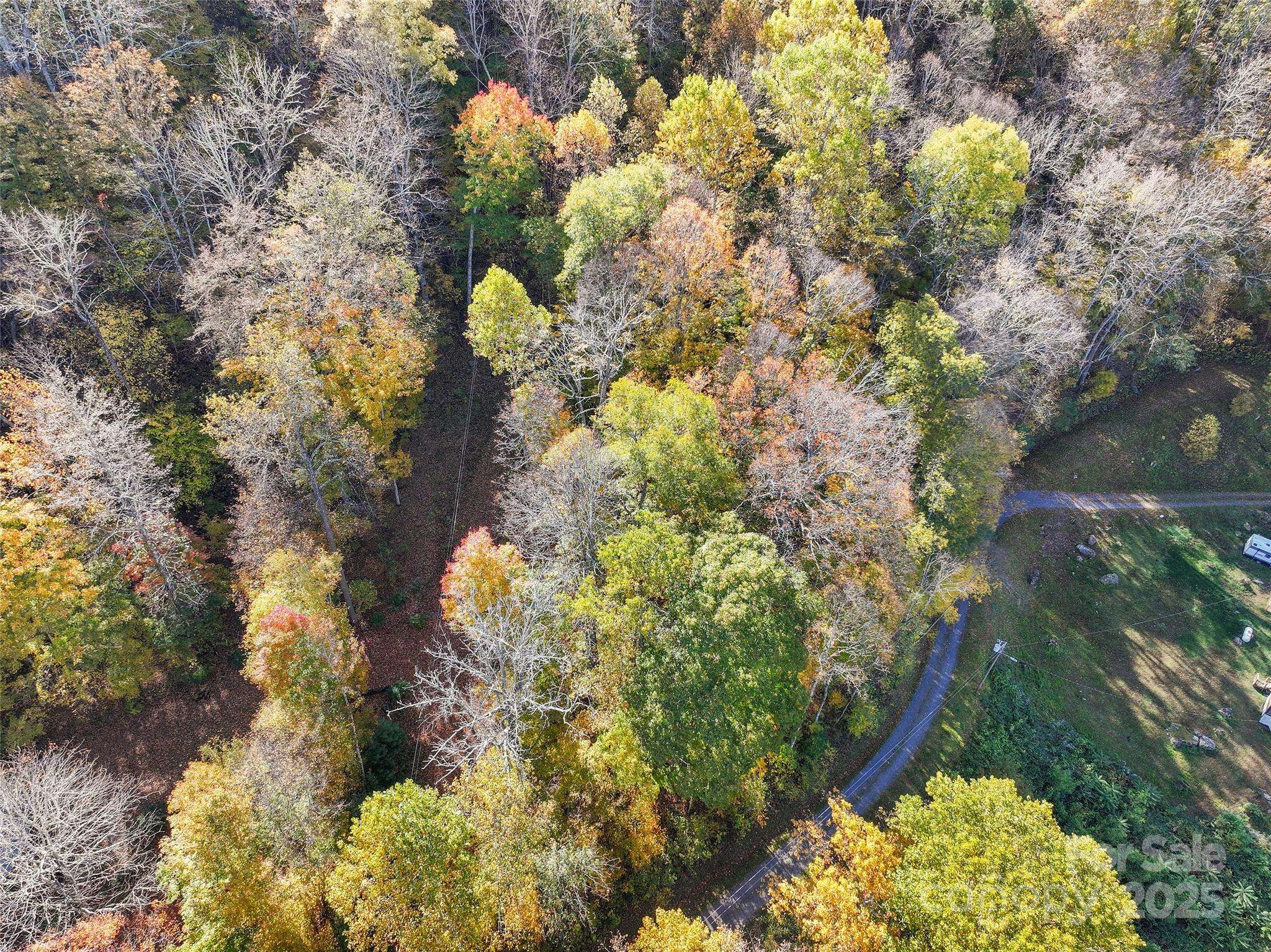 Lot 316 McGuires RDG #316, Waynesville, NC 28786