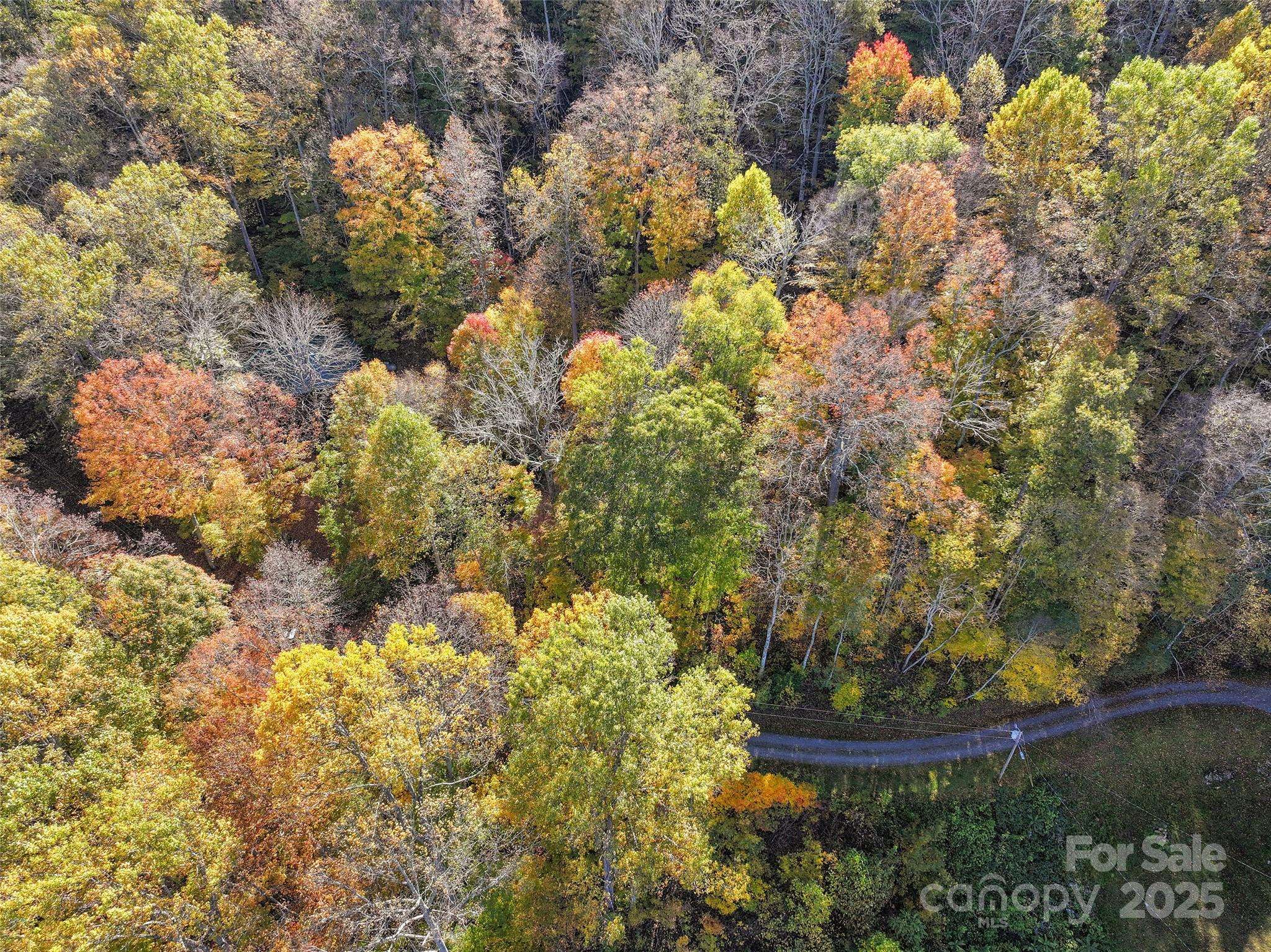 Lot 316 McGuires RDG #316, Waynesville, NC 28786