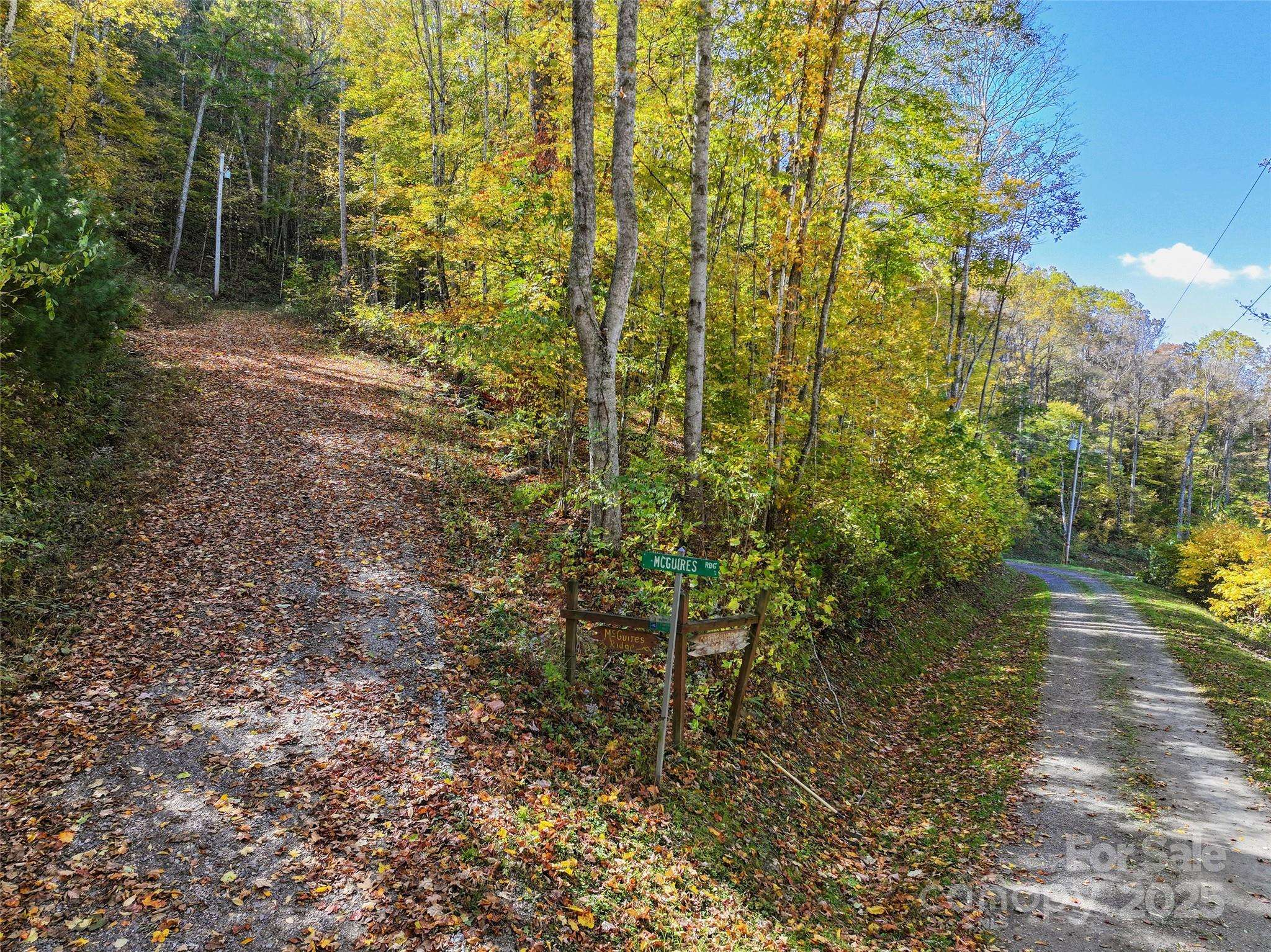 Lot 316 McGuires RDG #316, Waynesville, NC 28786