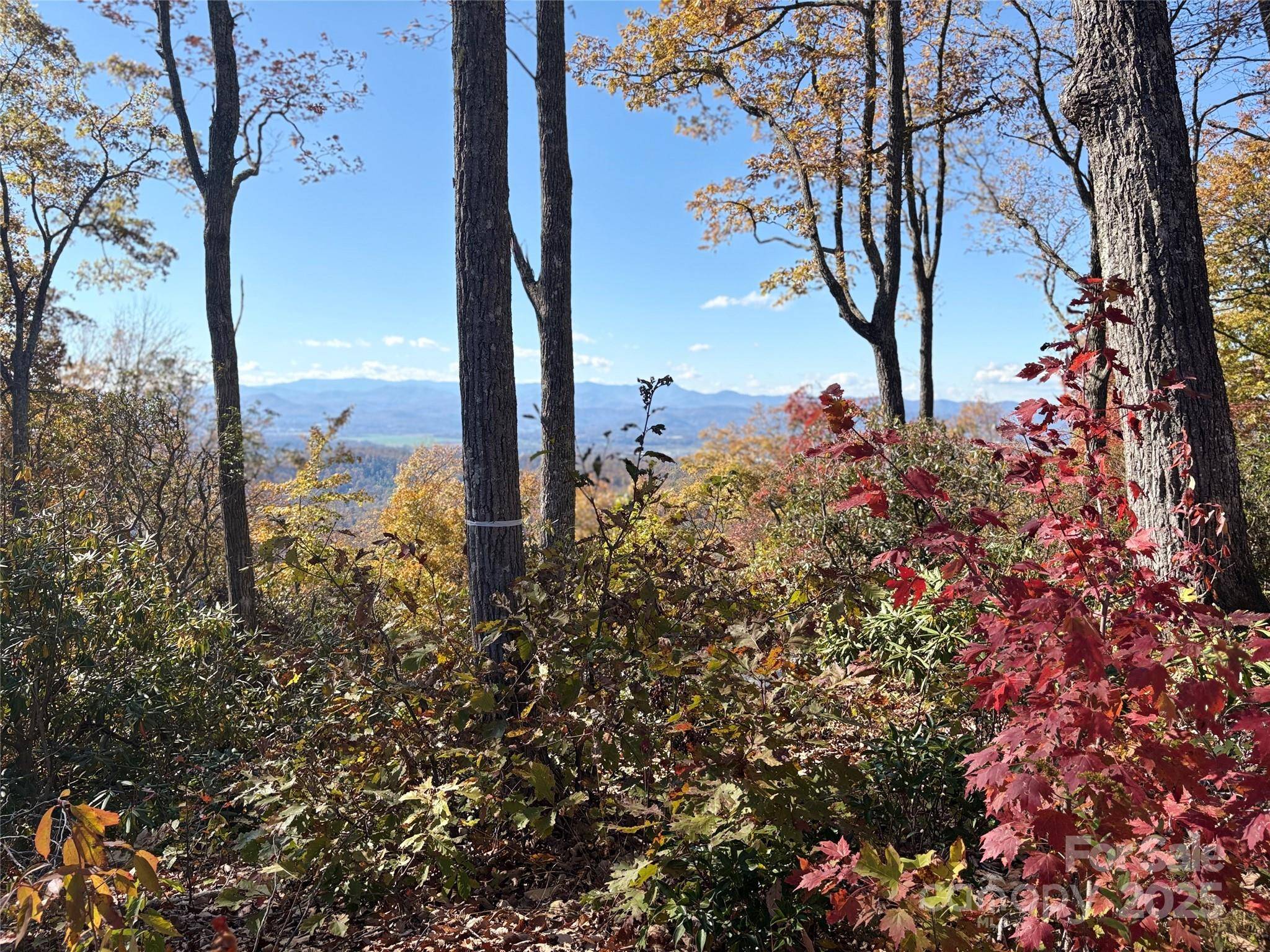 Lot 64 Feather Stone DR, Fletcher, NC 28732
