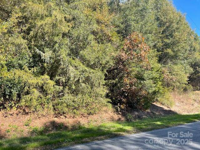 0 Deep Springs RD, Peachland, NC 28133