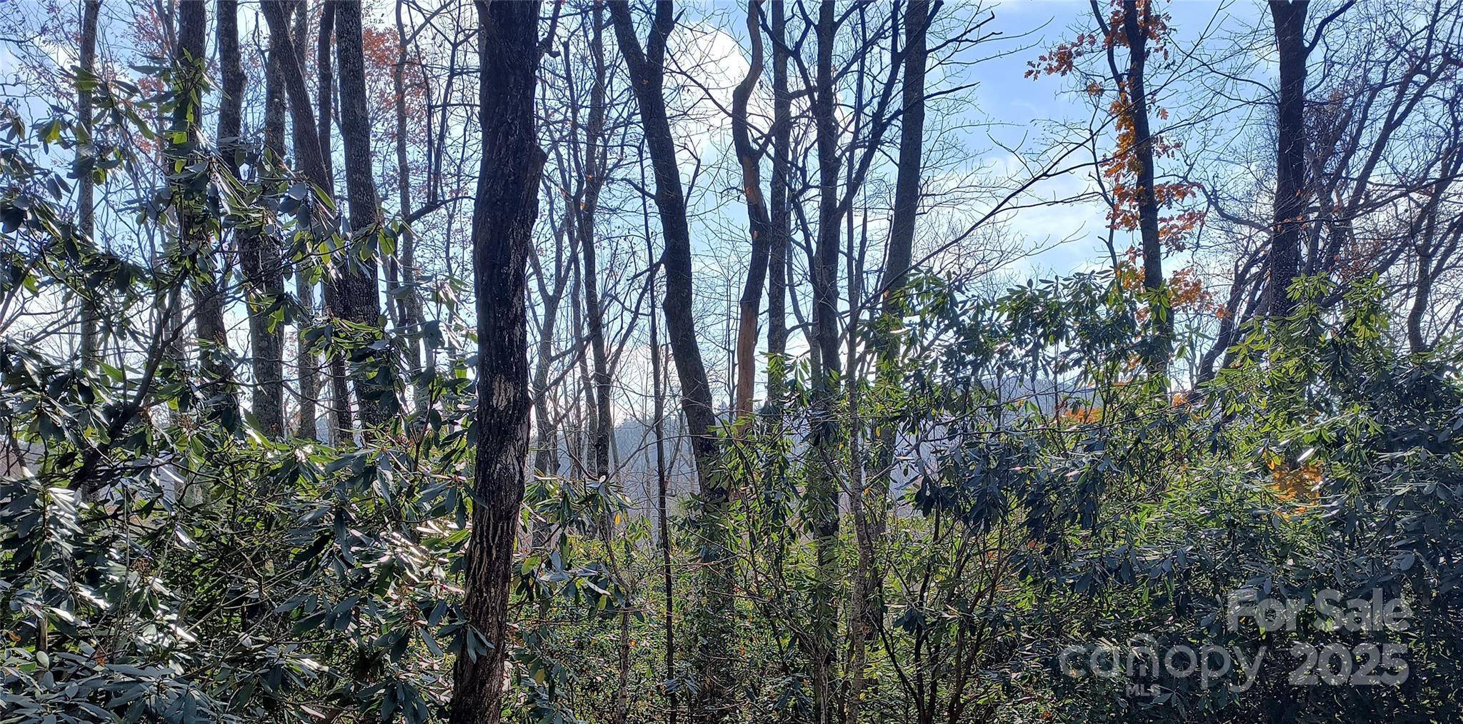 Lot 322 Sunny DR, Newland, NC 28657