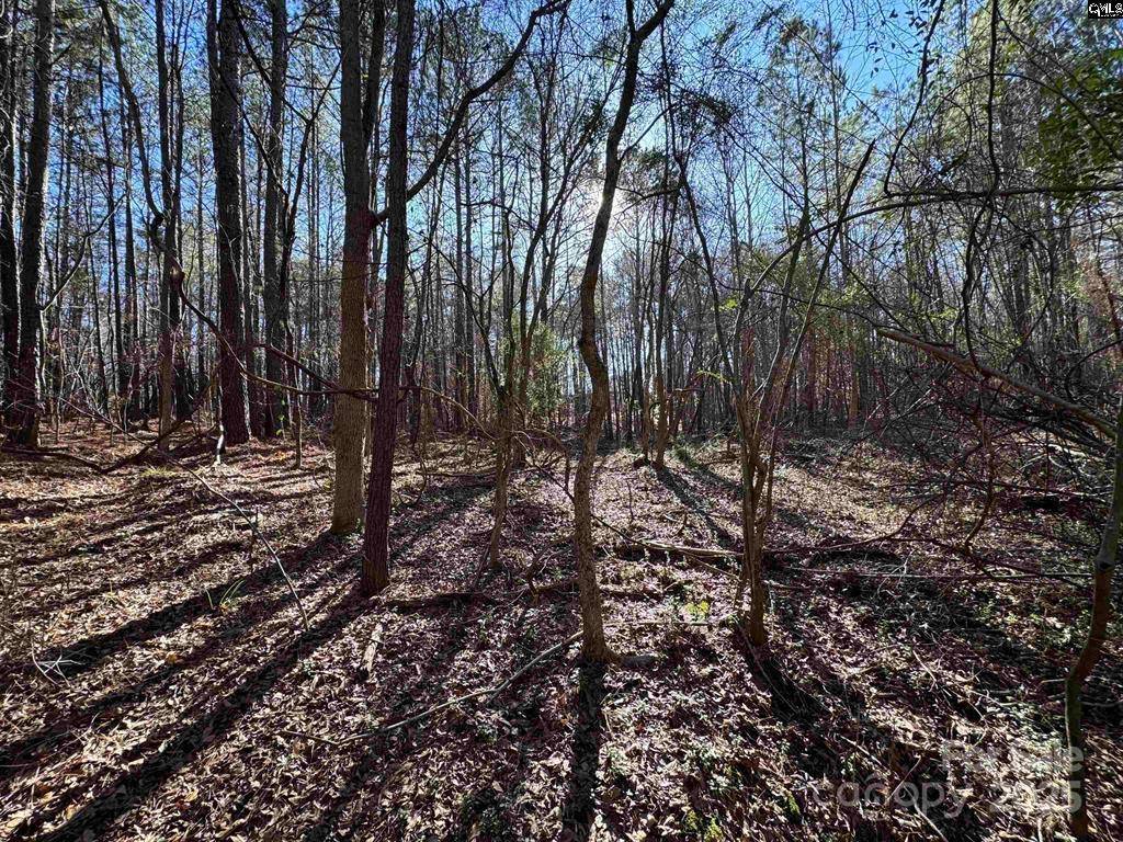 TBD Theron CIR, Lancaster, SC 29720