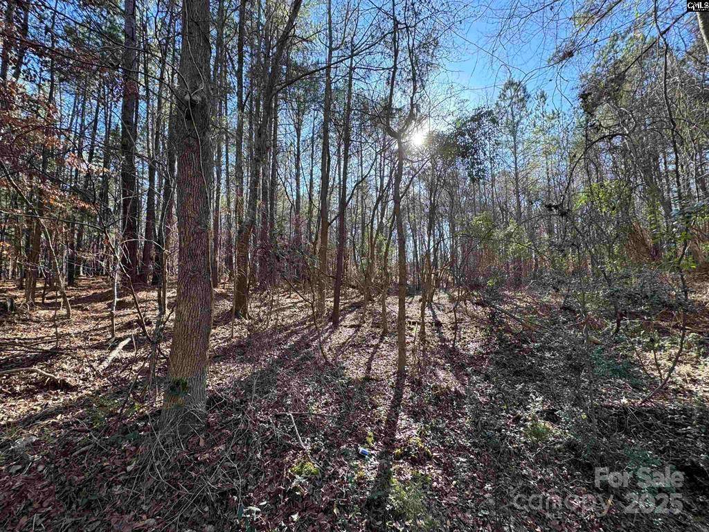 TBD Theron CIR, Lancaster, SC 29720
