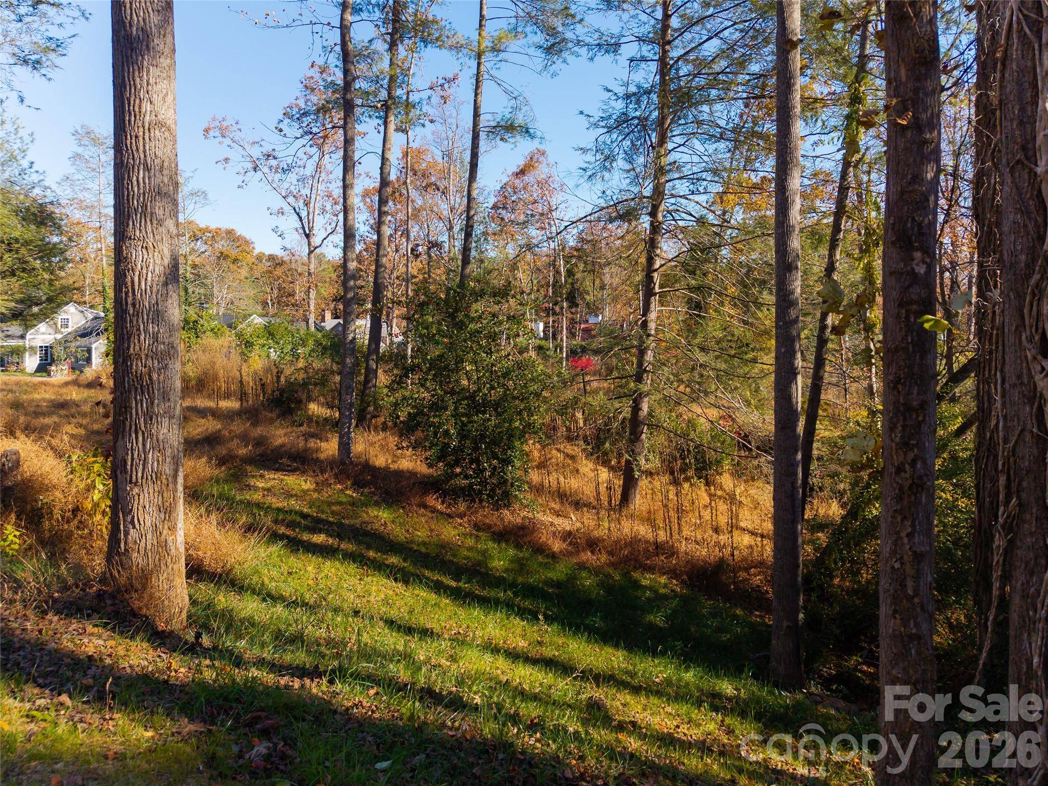 50 Forest RD, Asheville, NC 28803