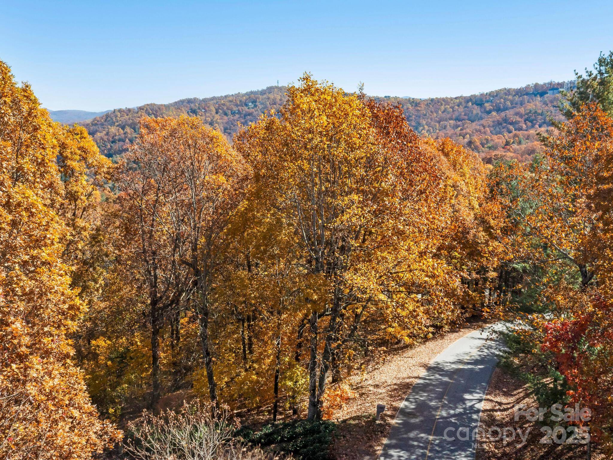 707 Overlook DR, Flat Rock, NC 28731