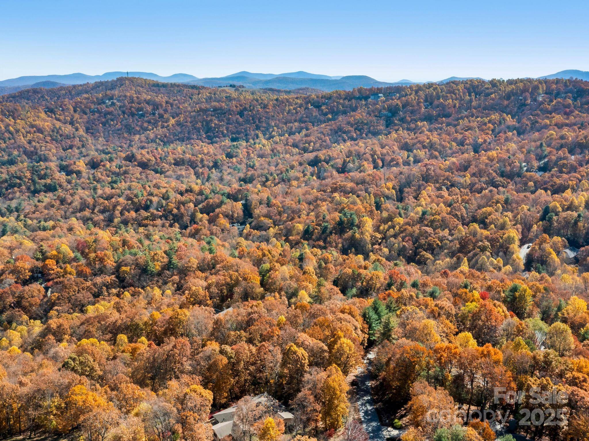 707 Overlook DR, Flat Rock, NC 28731