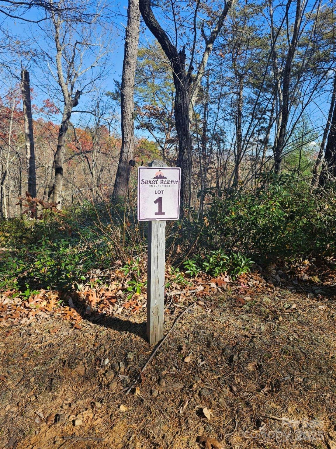 0 Lure Ridge DR #1, Lake Lure, NC 28746