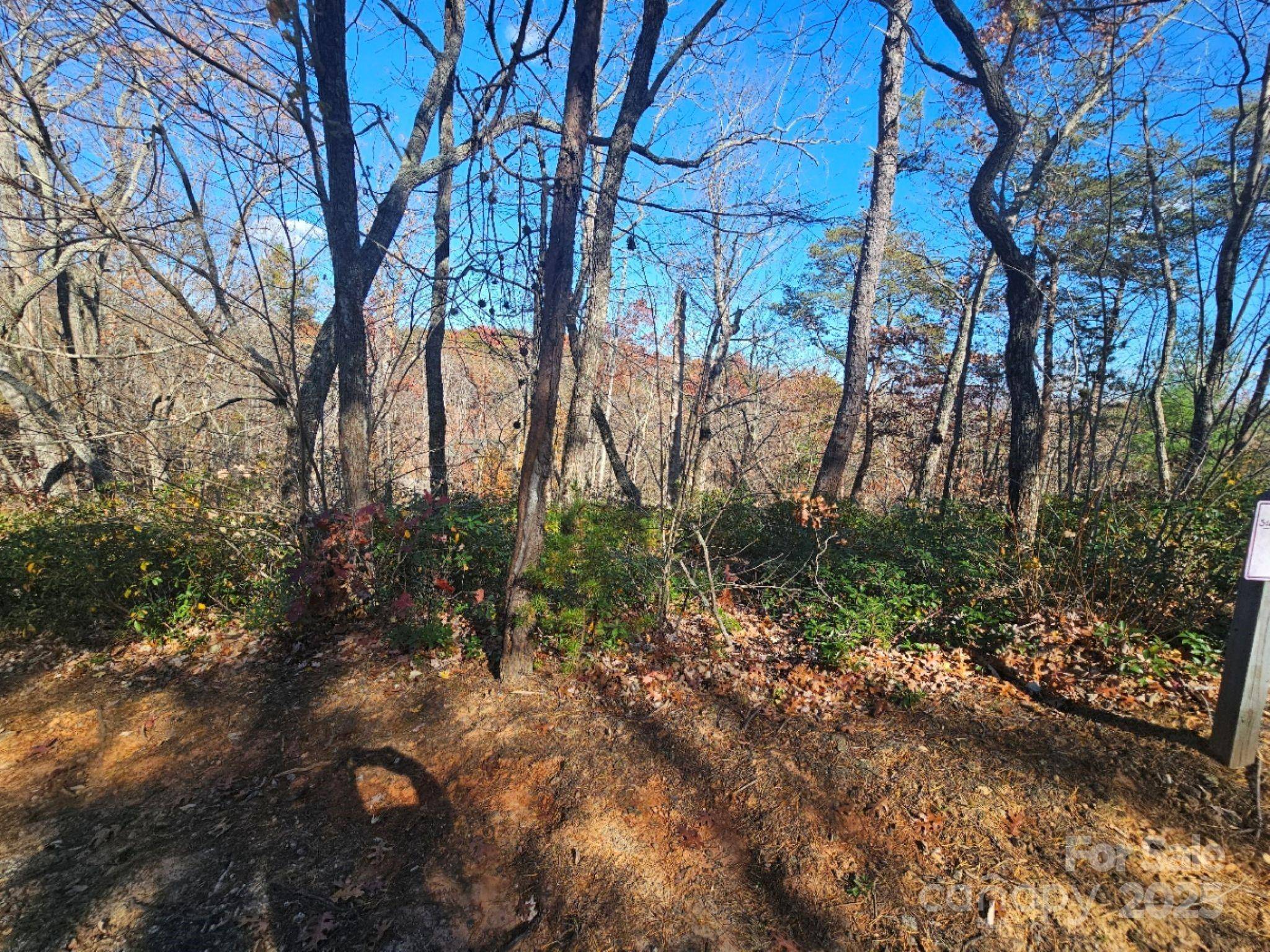0 Lure Ridge DR #1, Lake Lure, NC 28746