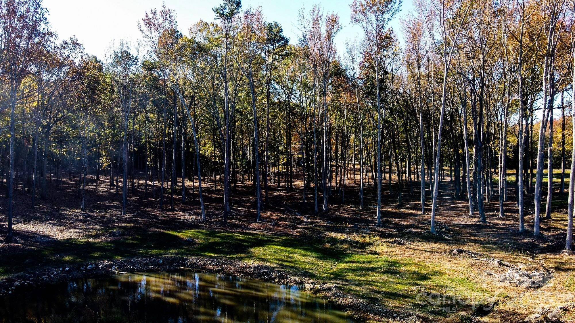 00 Waxhaw HWY, Mineral Springs, NC 28108