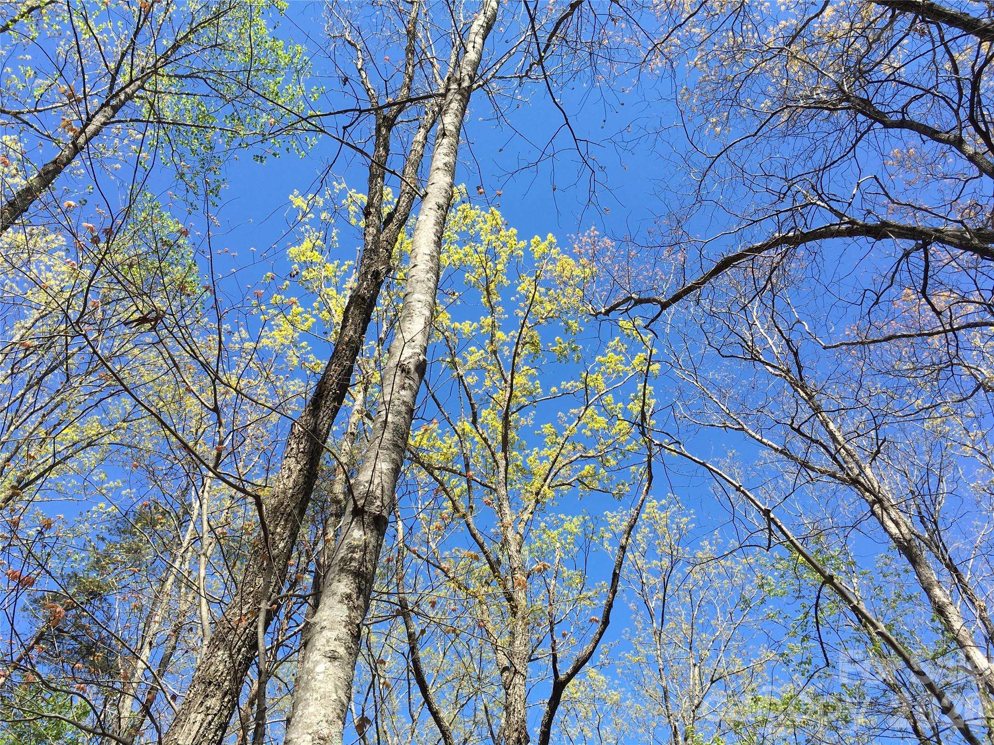 00 Lytle Mountain RD, Marion, NC 28752