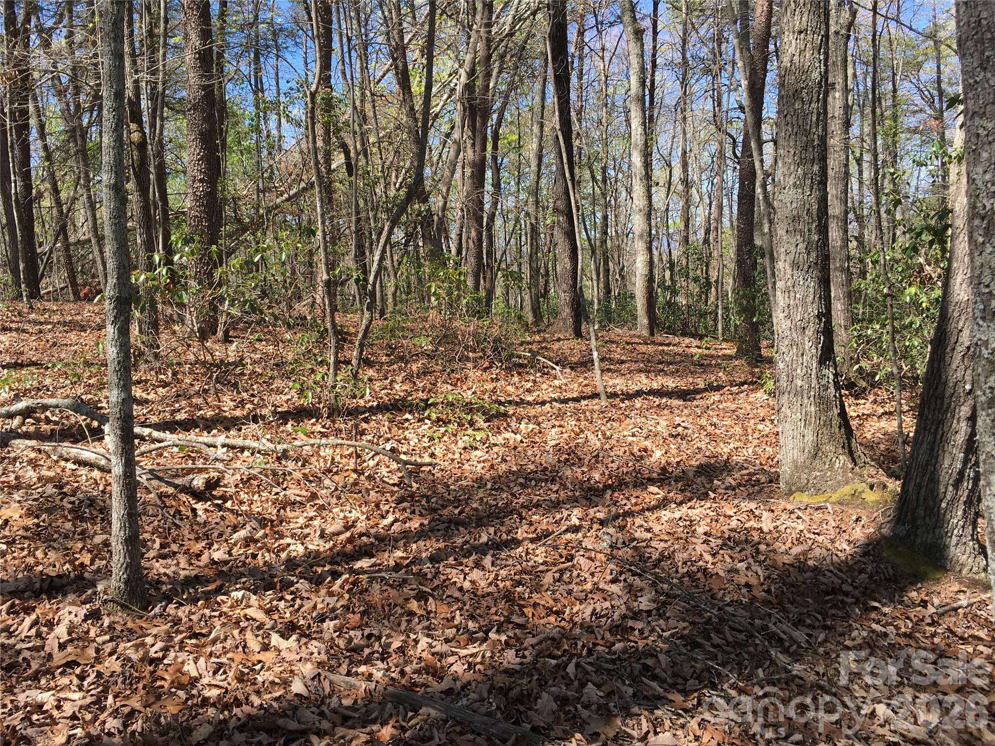 00 Lytle Mountain RD, Marion, NC 28752