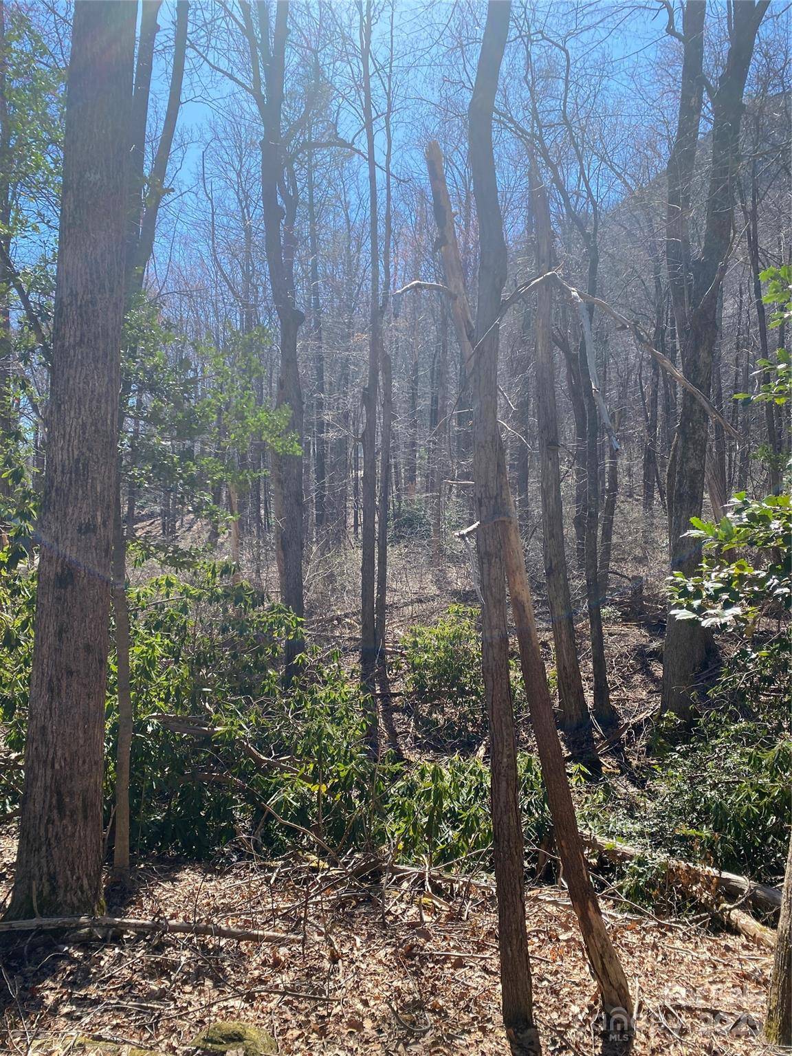 0000 Raleigh DR #8 & 9, Lake Lure, NC 28761