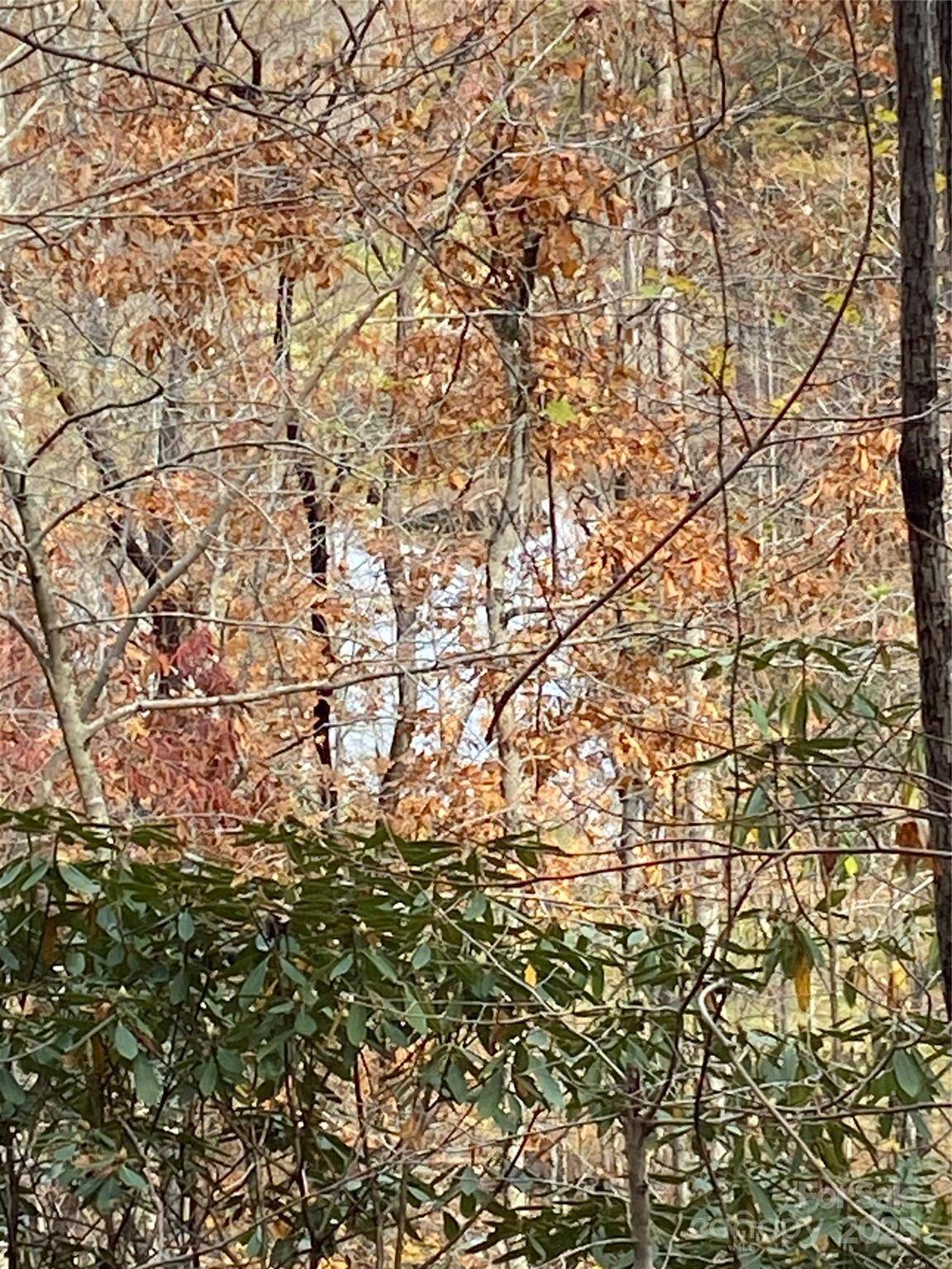 0000 Raleigh DR #8 & 9, Lake Lure, NC 28761