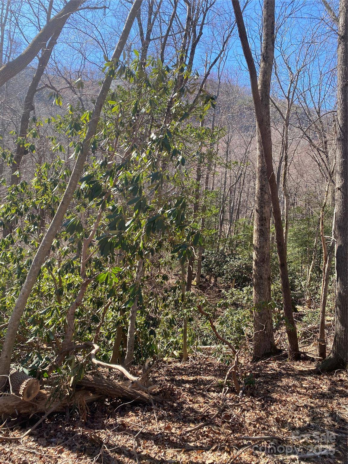 0000 Raleigh DR #8 & 9, Lake Lure, NC 28761