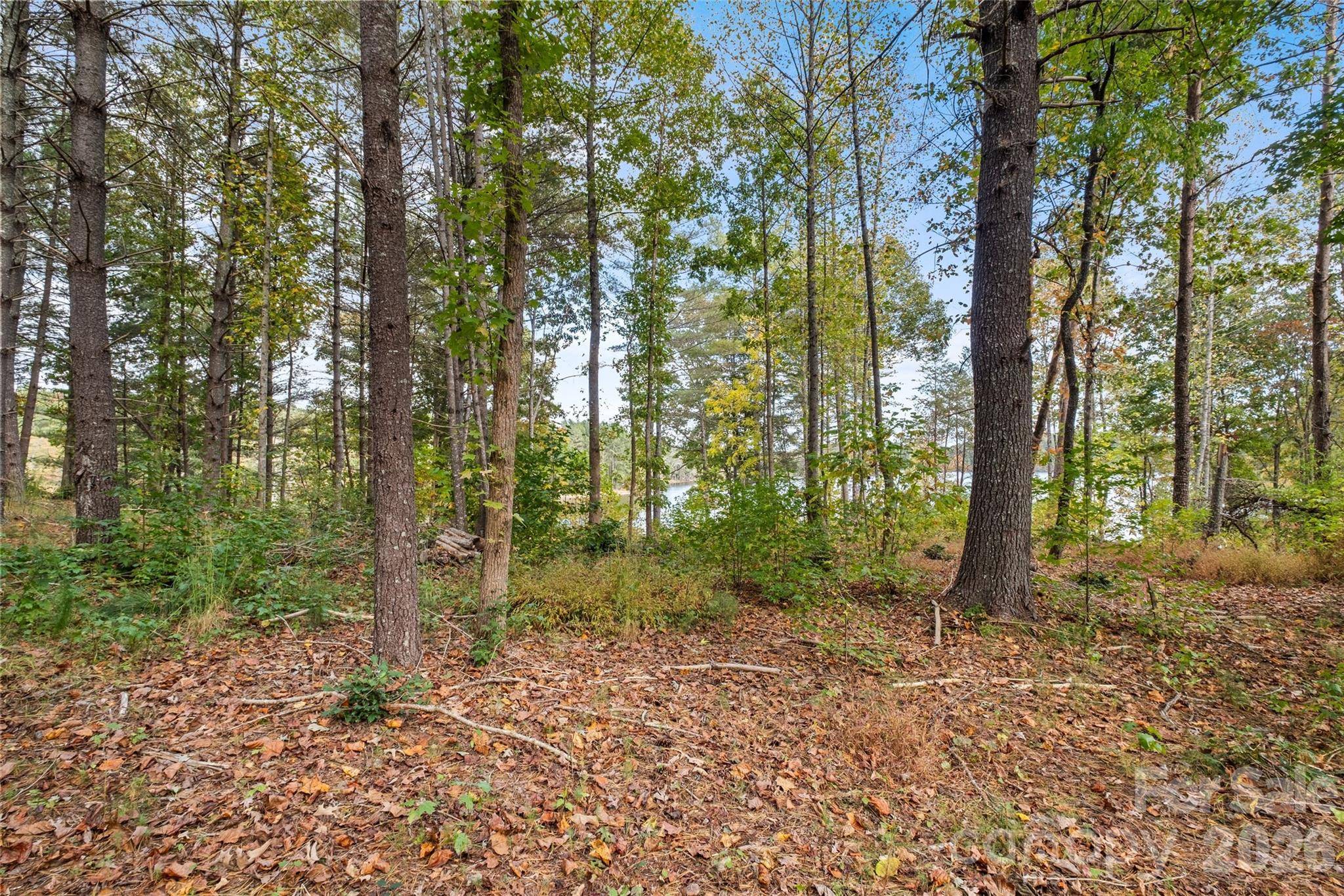 00 Scenic LN #241, Granite Falls, NC 28630
