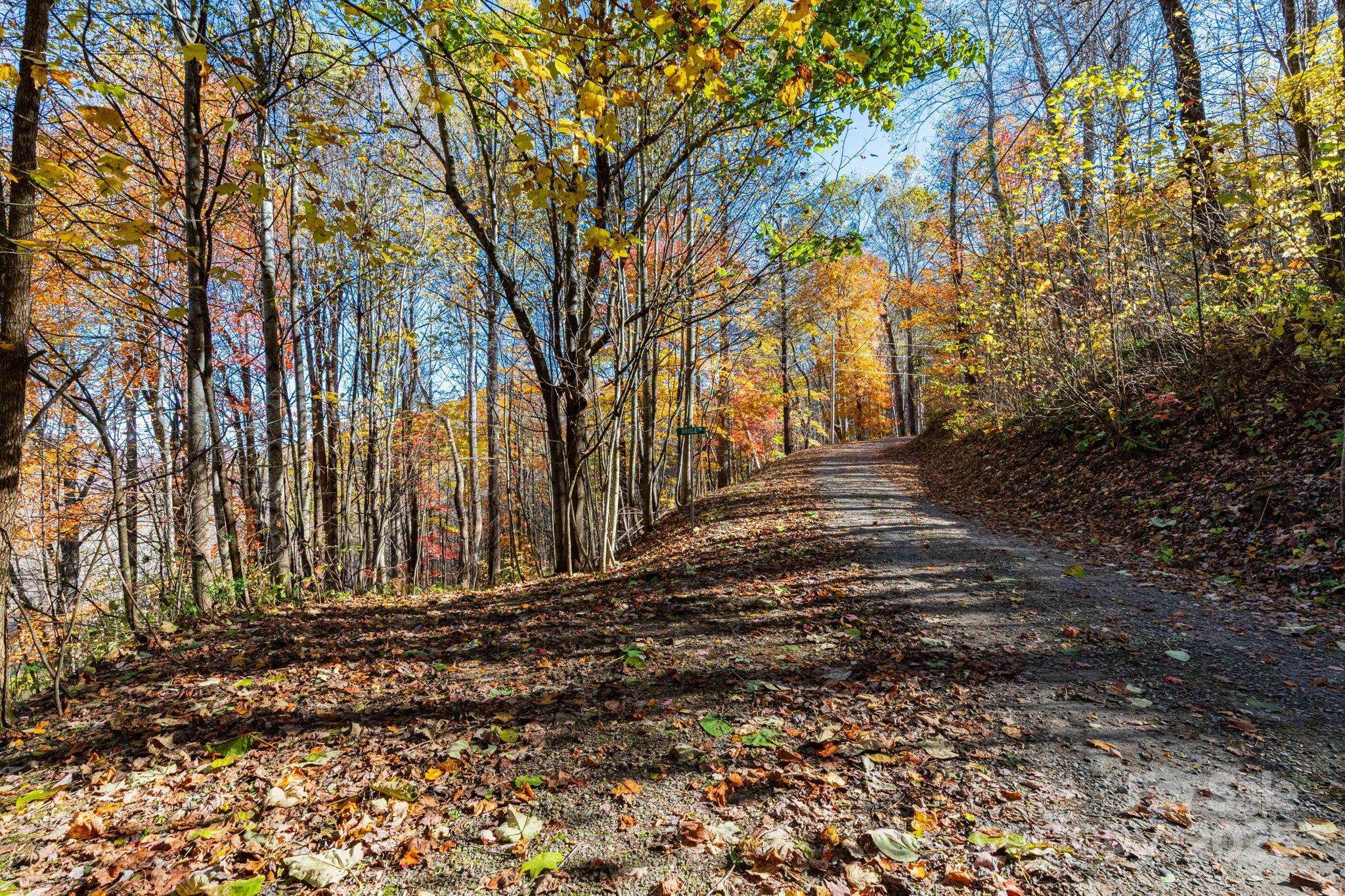 TBD Appaloosa TRL, Waynesville, NC 28785