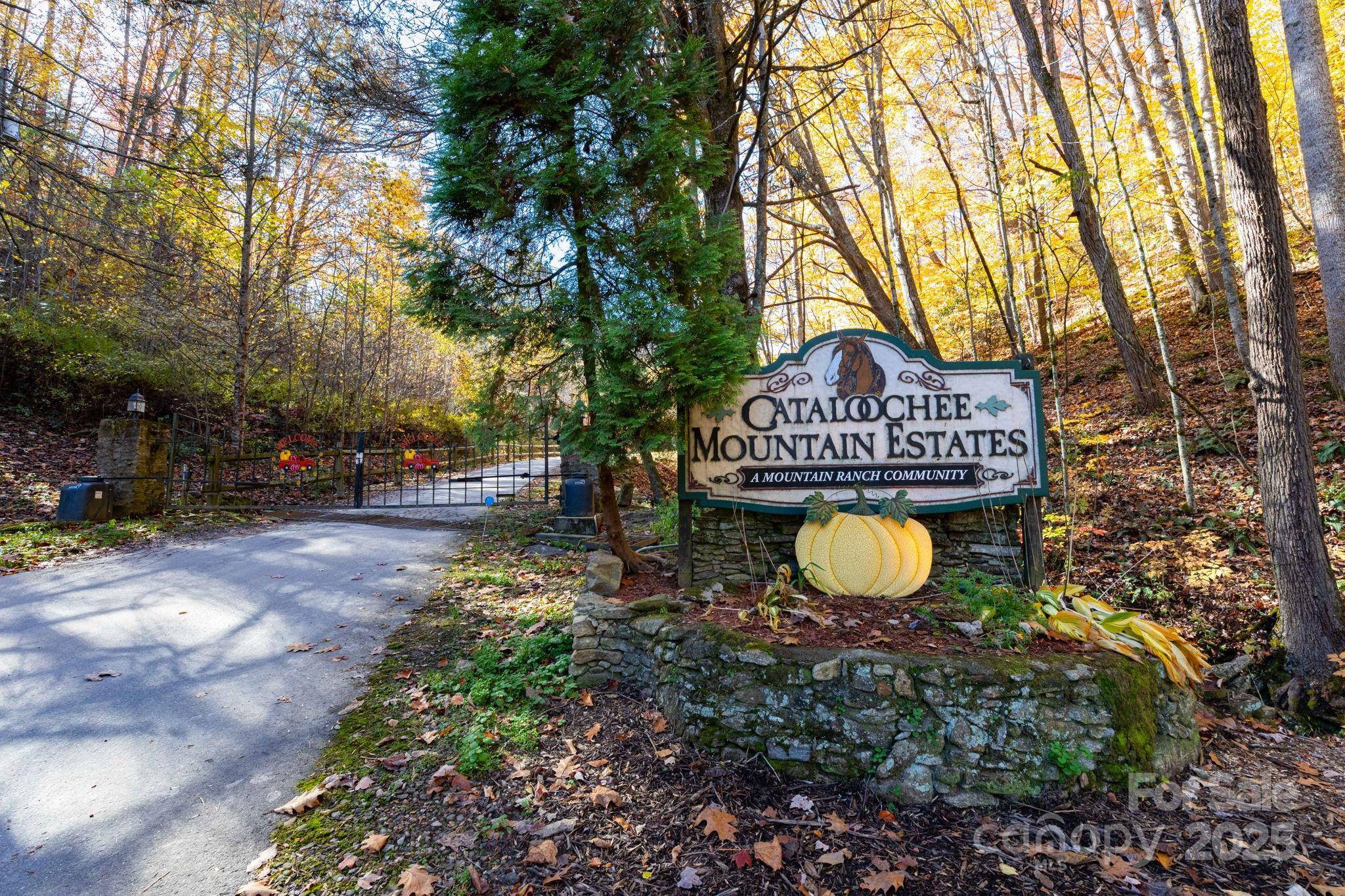 TBD Appaloosa TRL, Waynesville, NC 28785