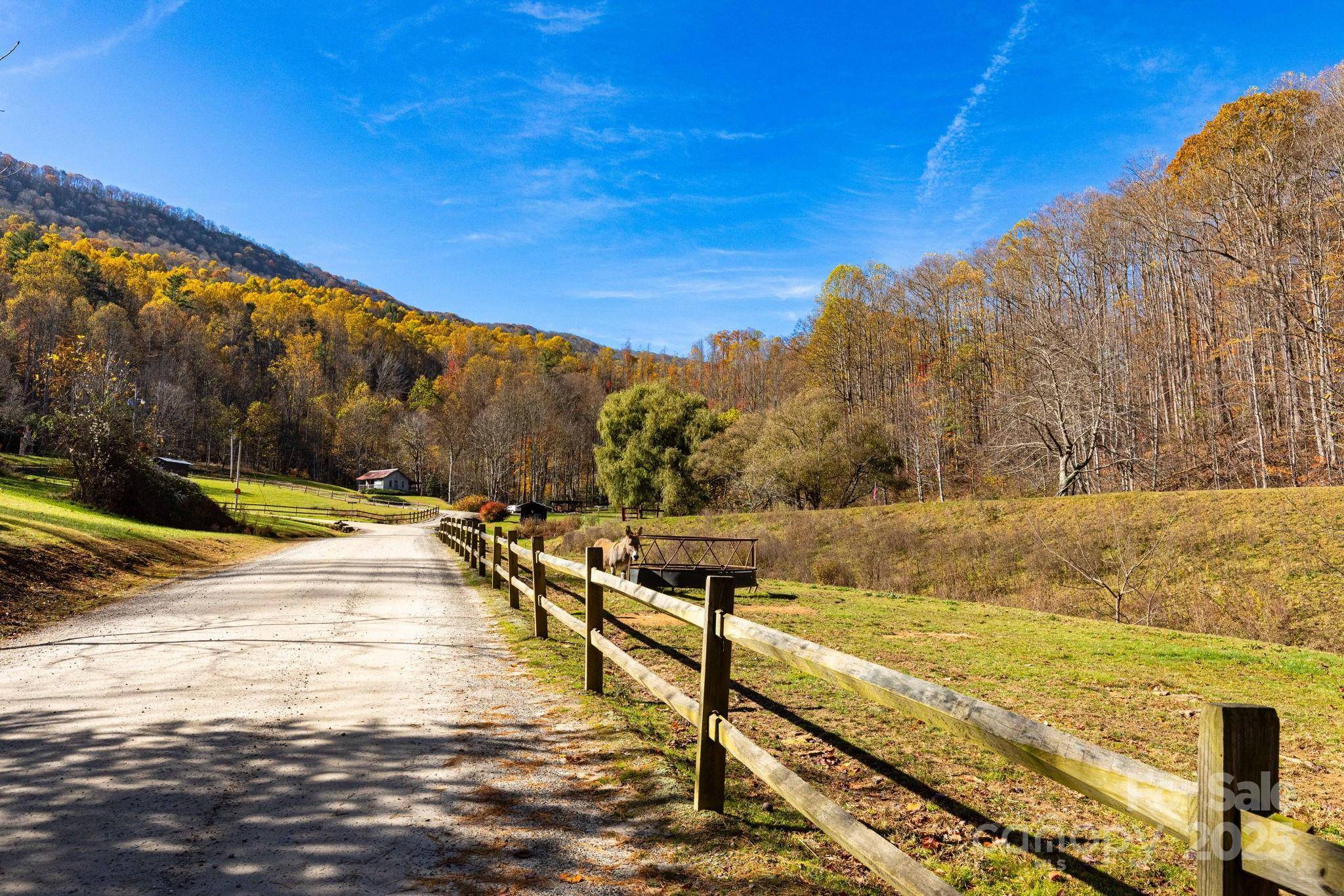 TBD Appaloosa TRL, Waynesville, NC 28785