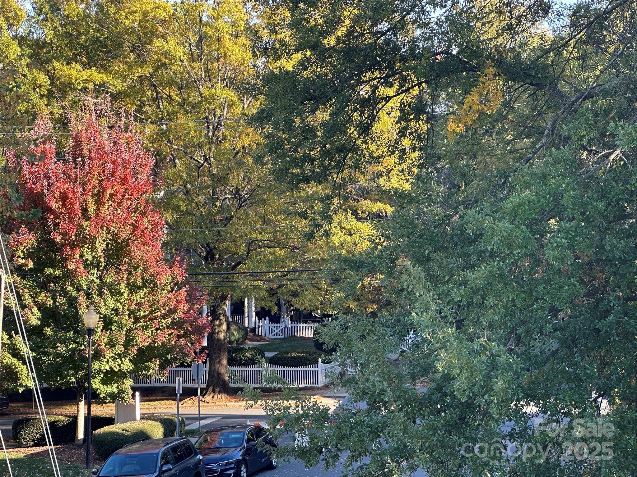 212 E Park AVE, Charlotte, NC 28203