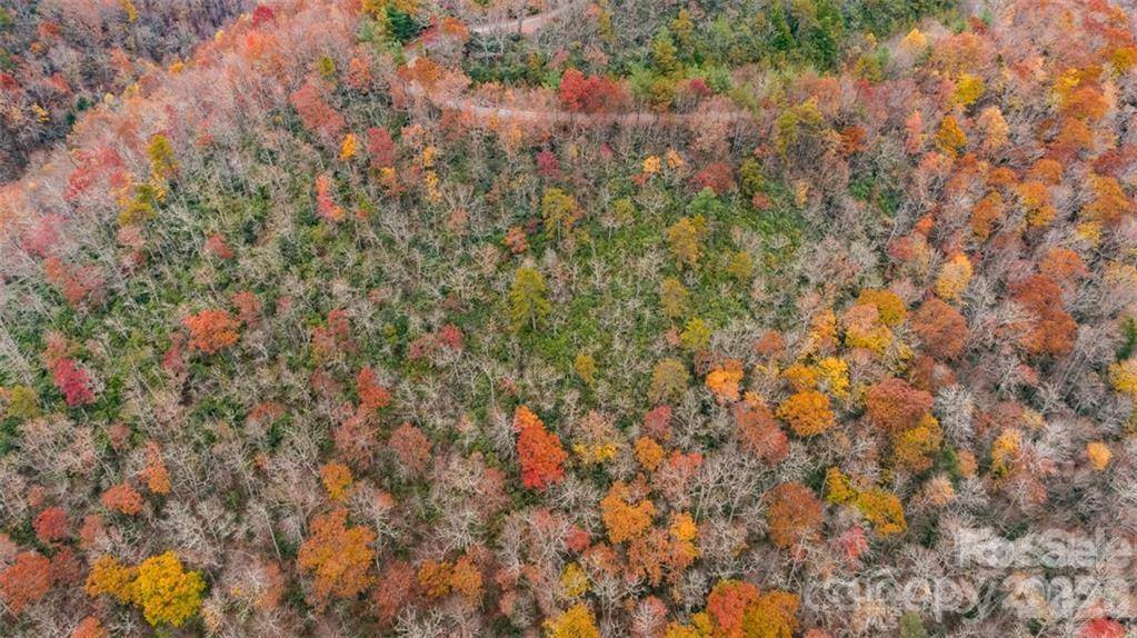 82 Davey Crockett RD, Fairview, NC 28730