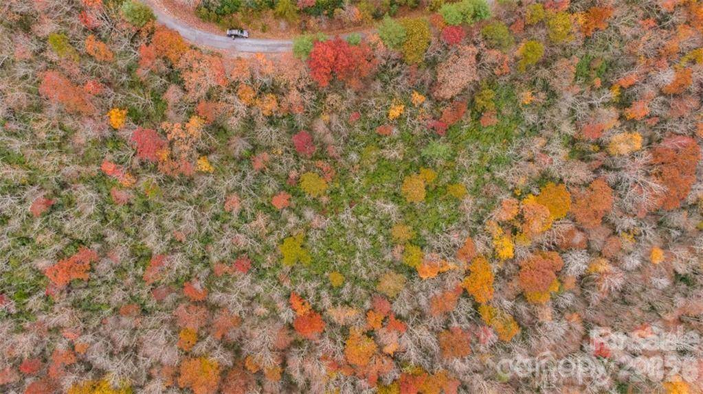 82 Davey Crockett RD, Fairview, NC 28730
