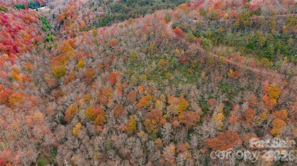 82 Davey Crockett RD, Fairview, NC 28730
