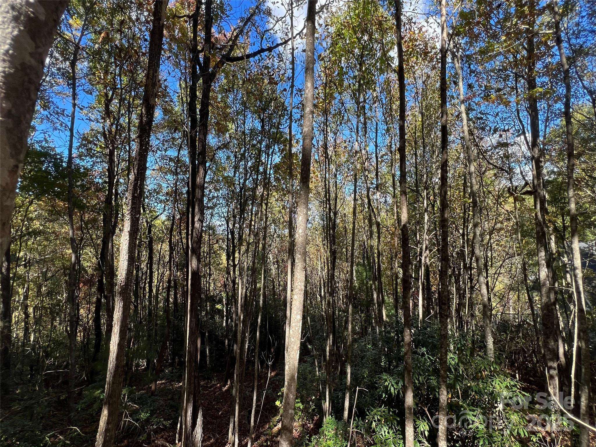 0 Wild Magnolia WAY #46, Zirconia, NC 28790