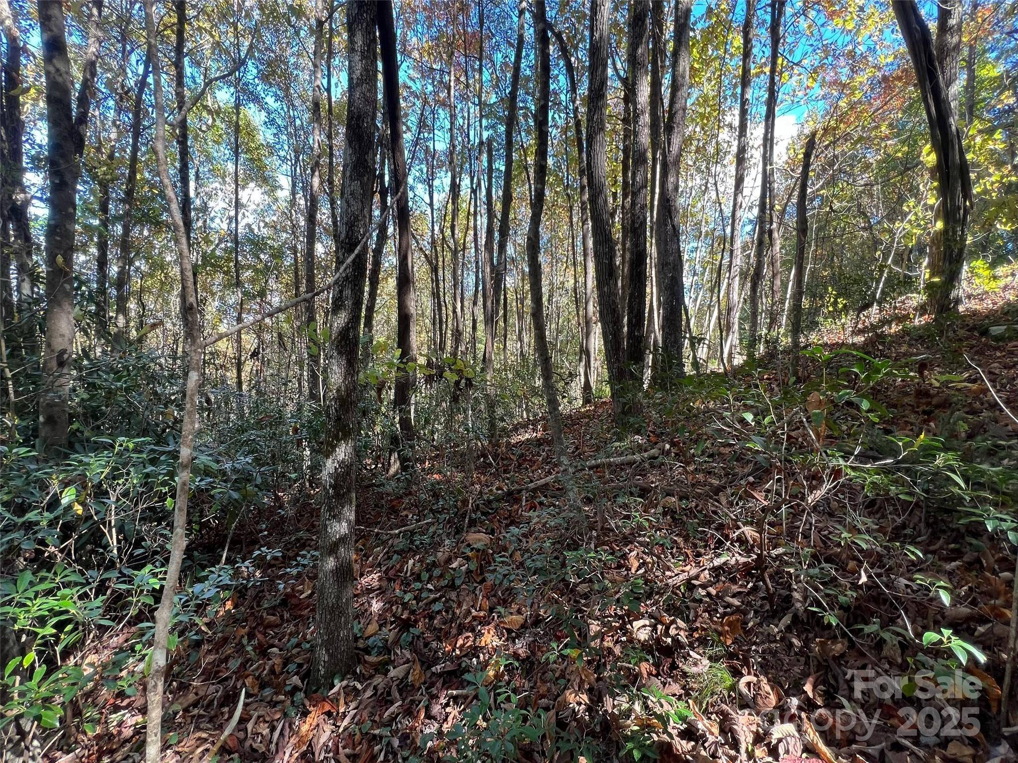 0 Wild Magnolia WAY #46, Zirconia, NC 28790