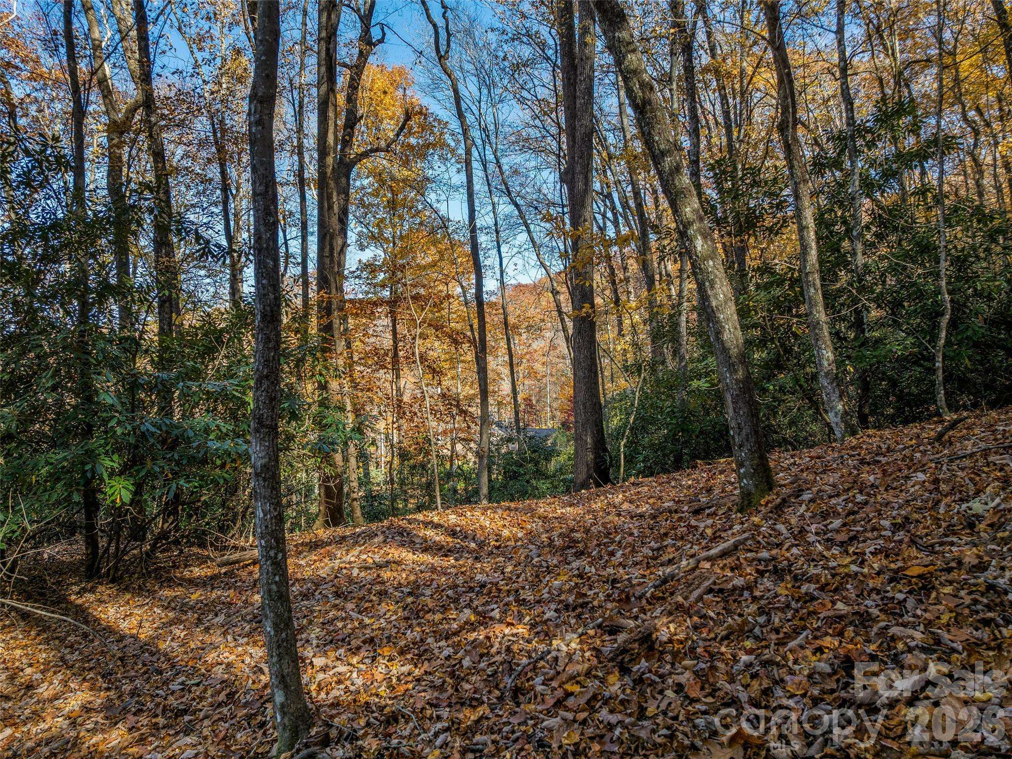 241 Skye DR, Pisgah Forest, NC 28768