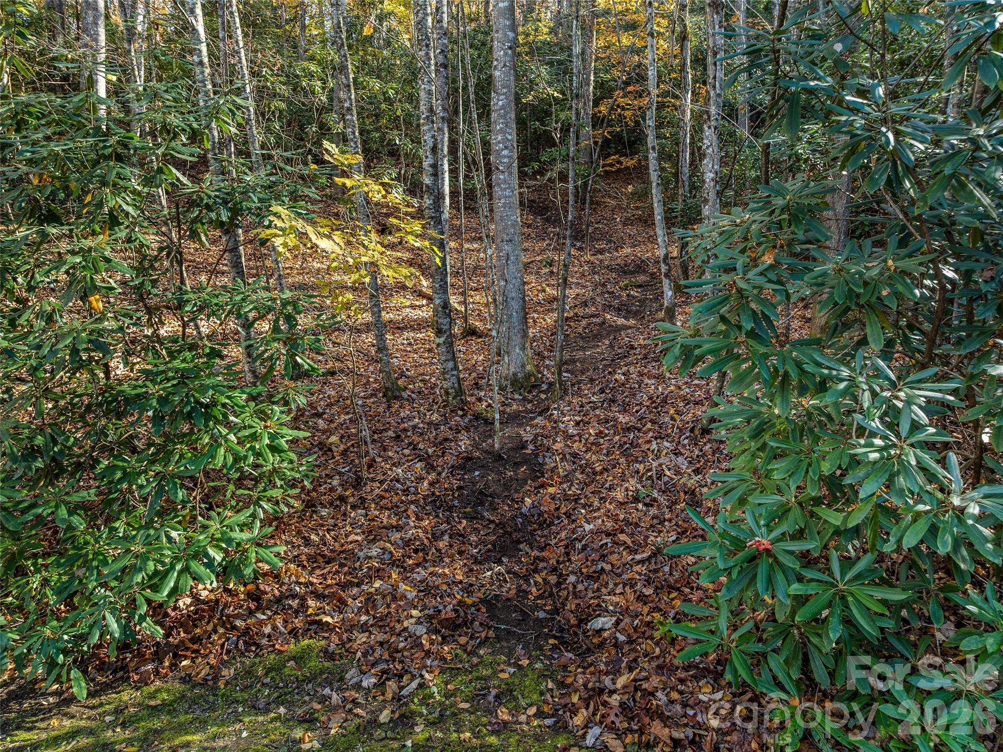 241 Skye DR, Pisgah Forest, NC 28768