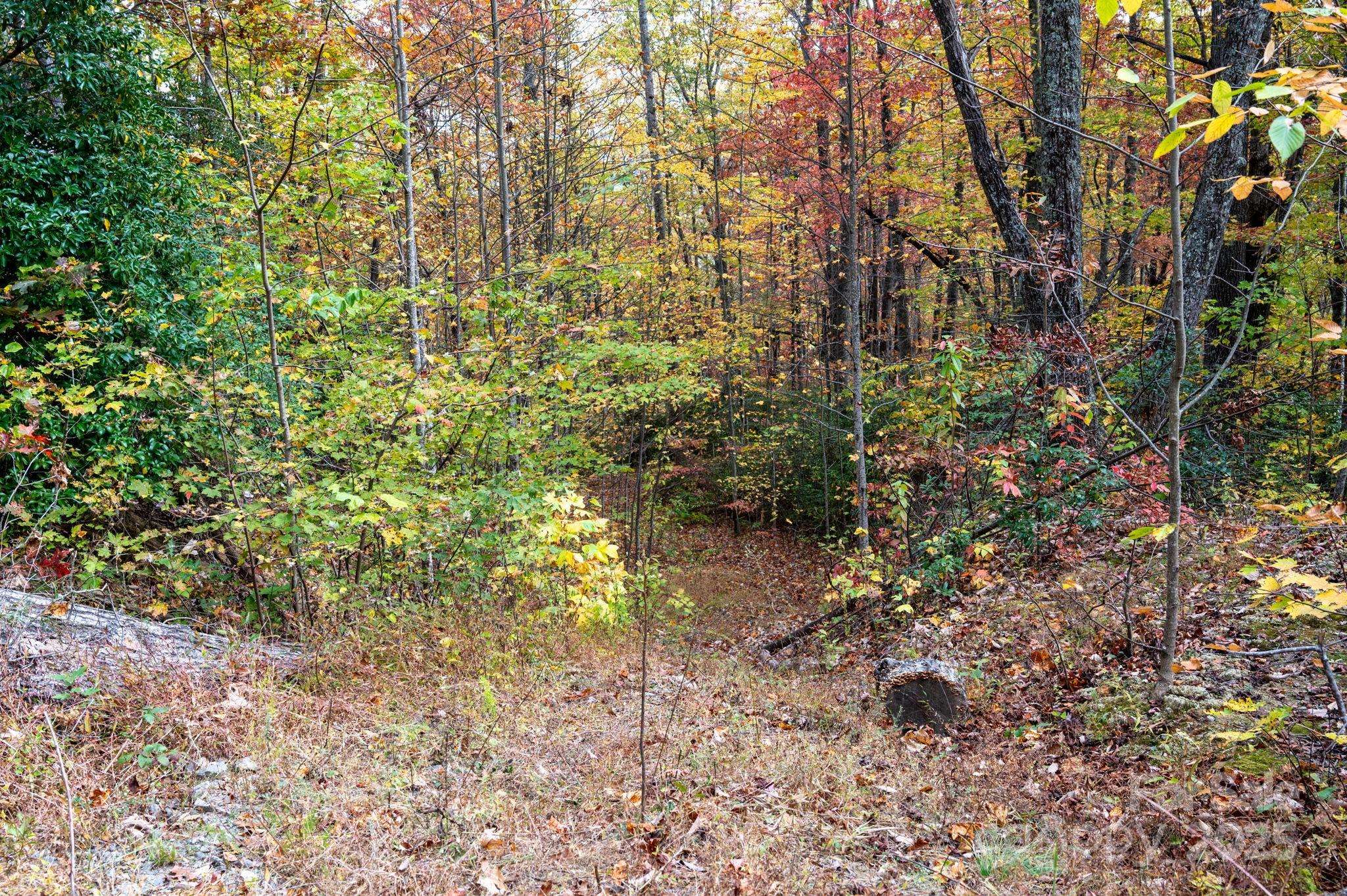 4B LOWER FLAT CREEK RD, Black Mountain, NC 28711