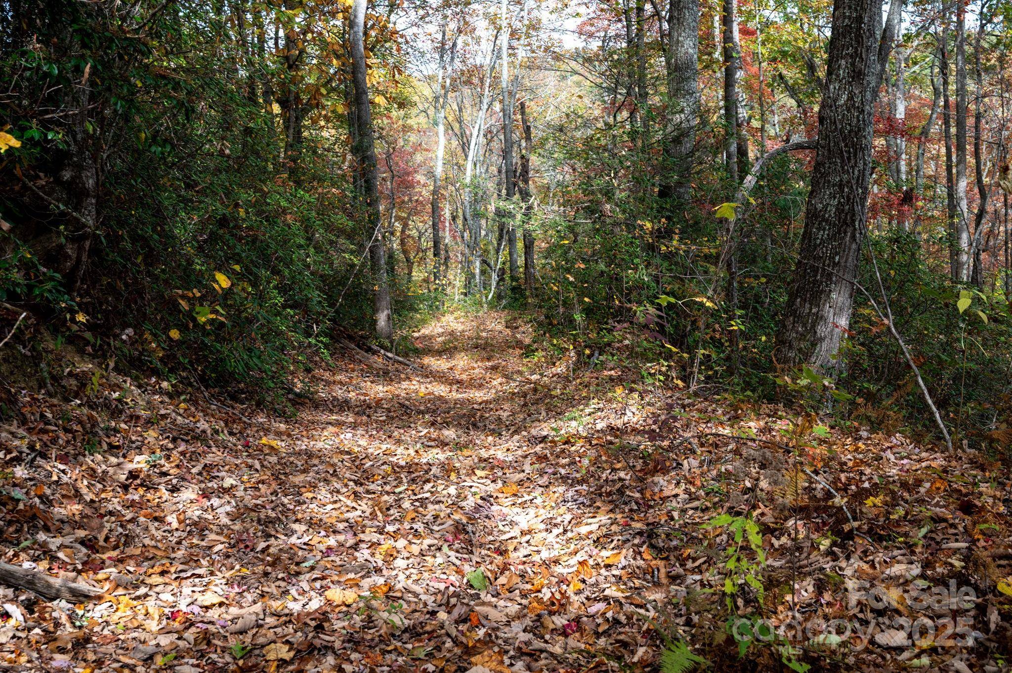 4B LOWER FLAT CREEK RD, Black Mountain, NC 28711