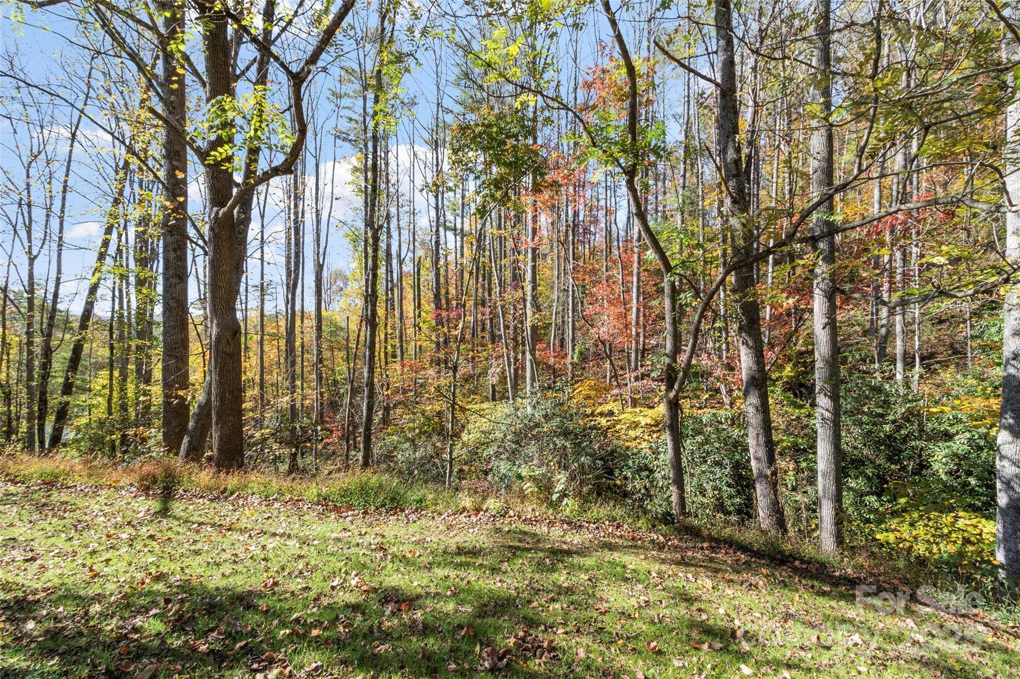 96 Thompson RD, Spruce Pine, NC 28777